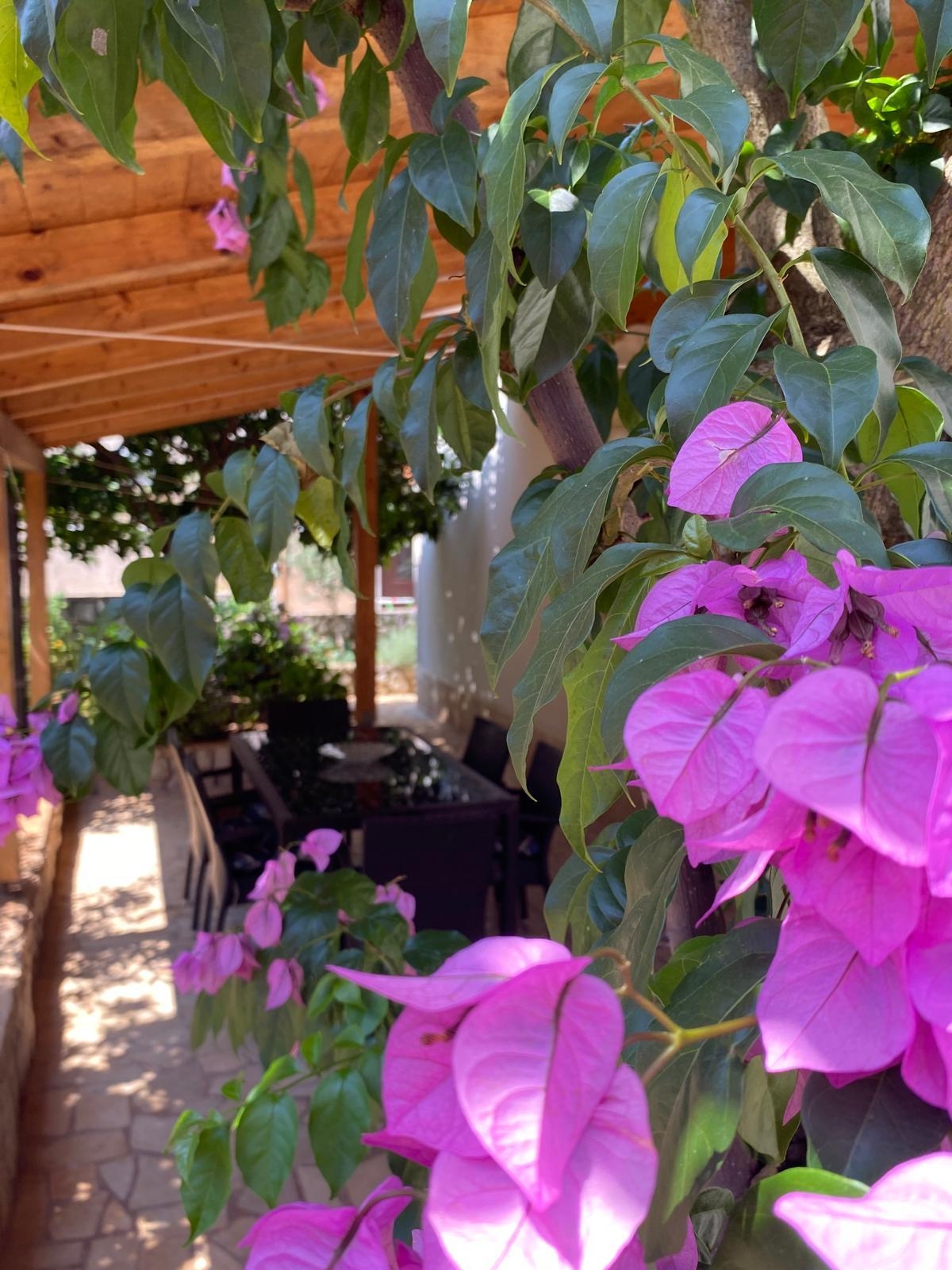 Two bedroom apartment with terrace Mali Lošinj, Lošinj  A-a