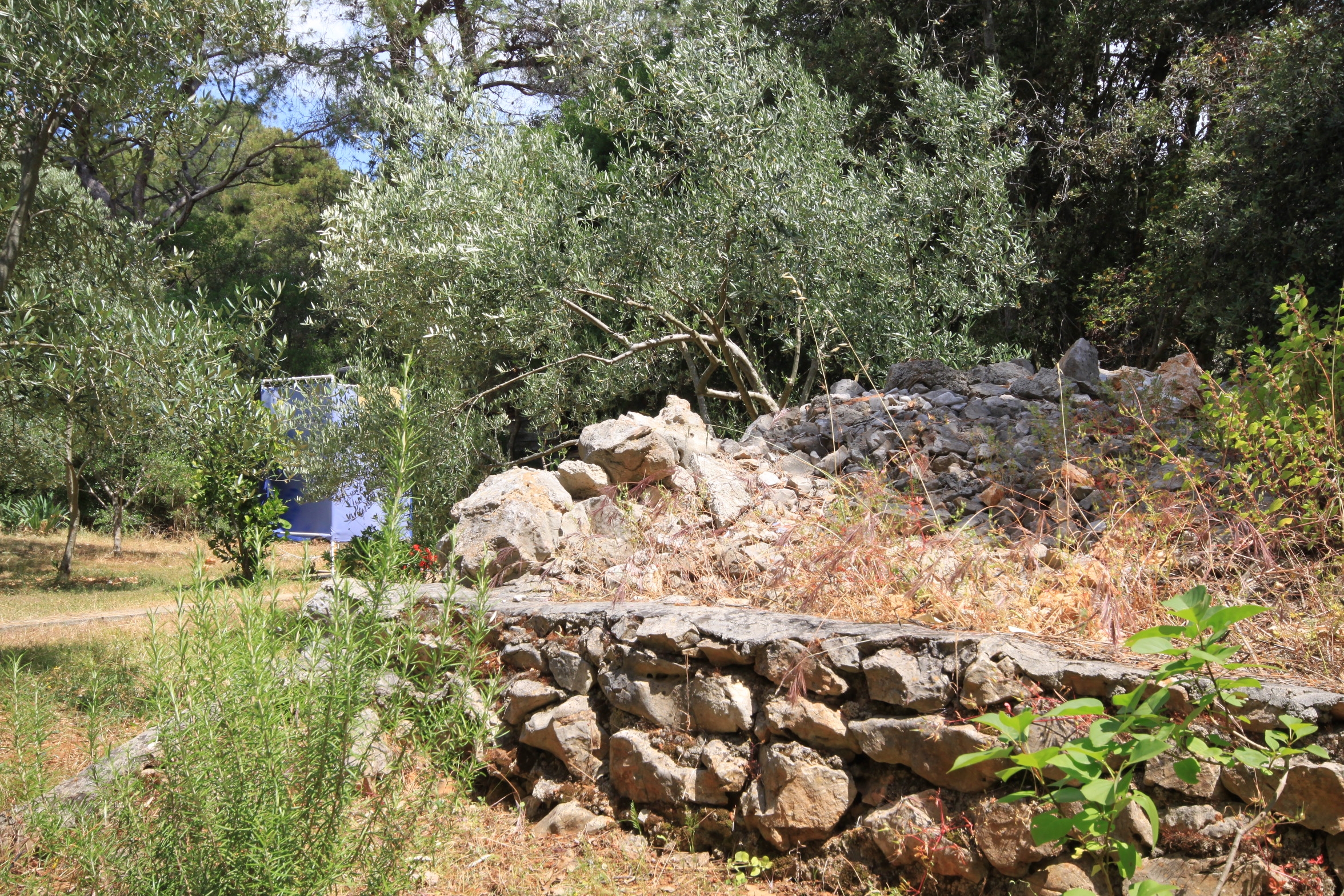 Studio flat with terrace Artatore, Lošinj  AS-a