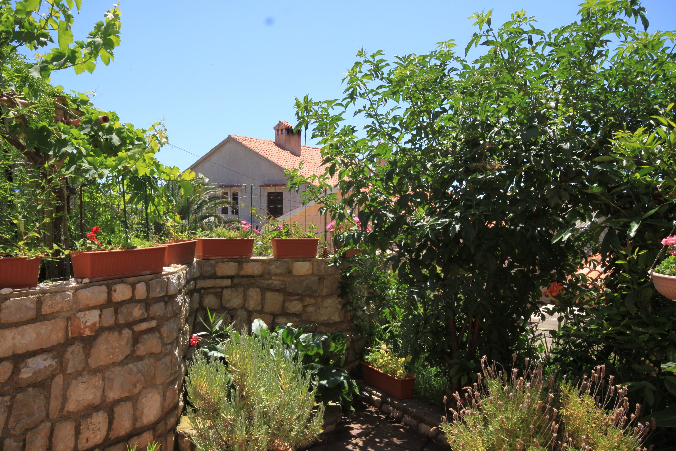 Two bedroom apartment with terrace Ćunski, Lošinj  A-a