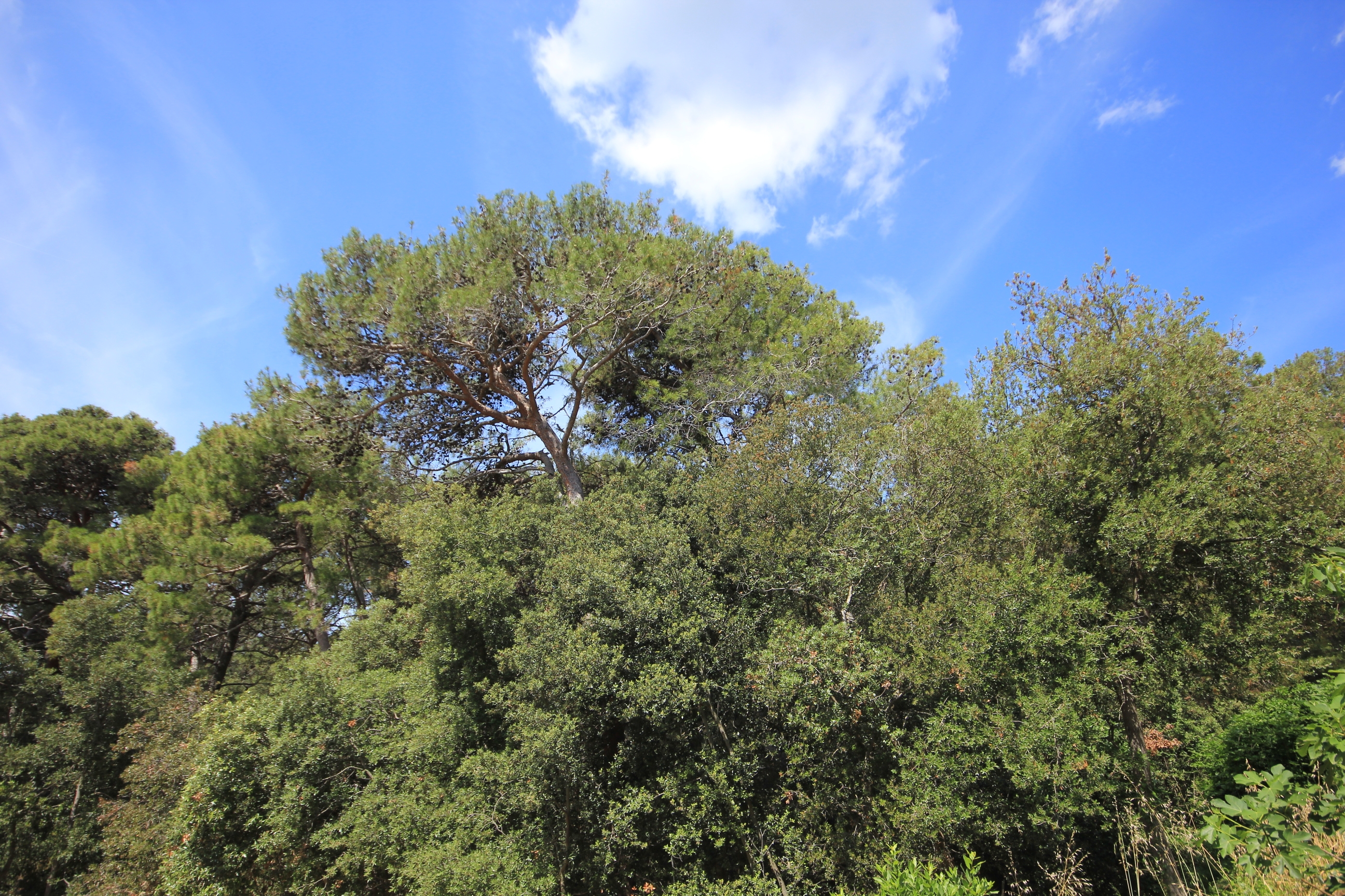 Two bedroom apartment with terrace Artatore, Lošinj  A-c