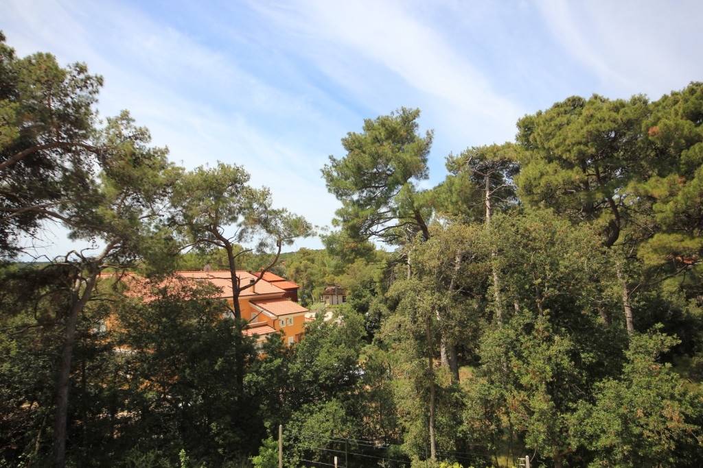 One bedroom apartment with terrace Artatore, Lošinj  A-e