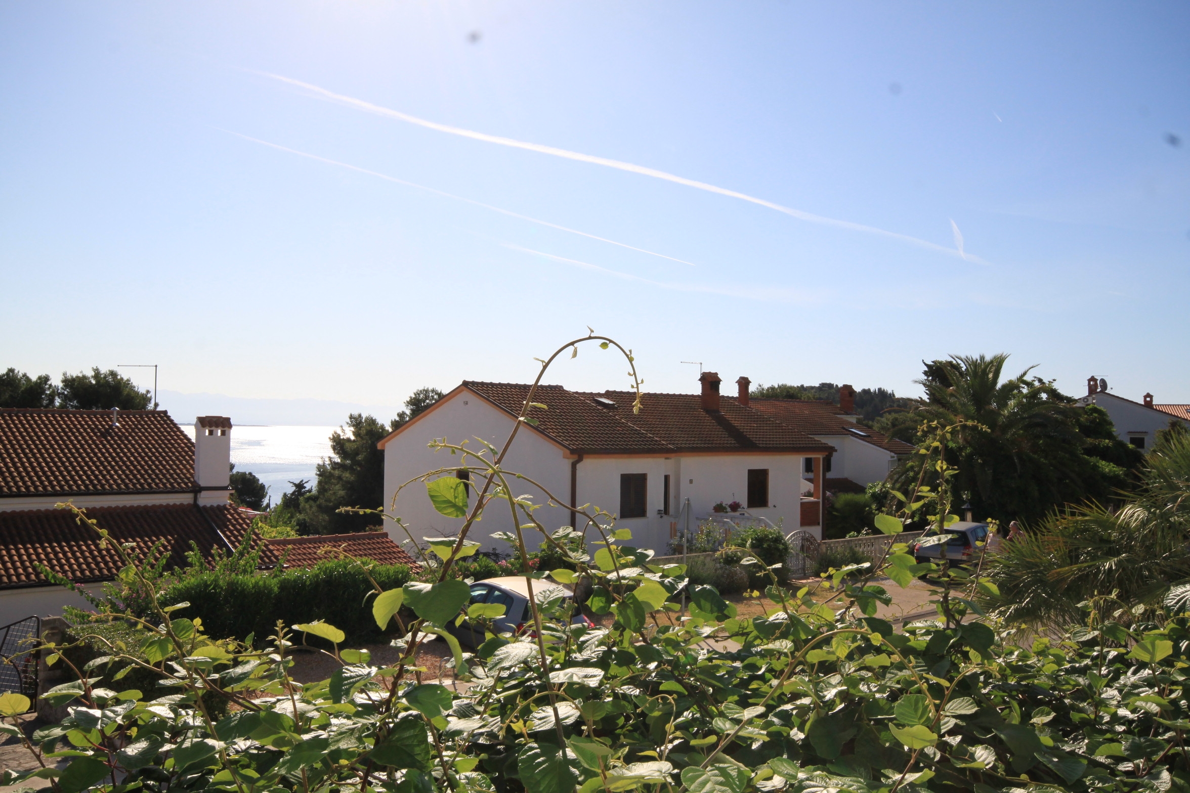 Top Lošinj Mali Lošinj Top Lošinj Mali Lošinj