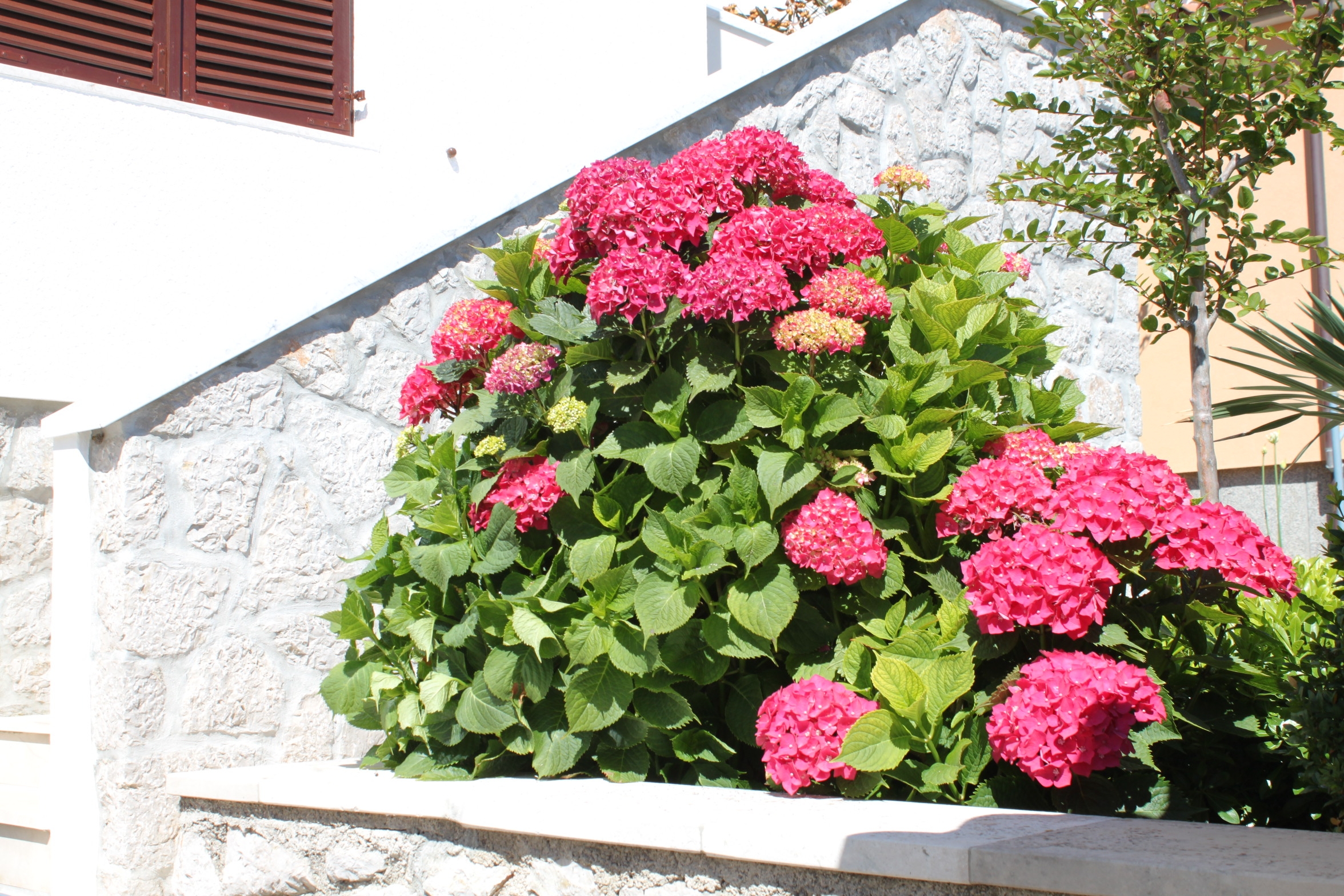 Two bedroom apartment with terrace Mali Lošinj, Lošinj  A-b