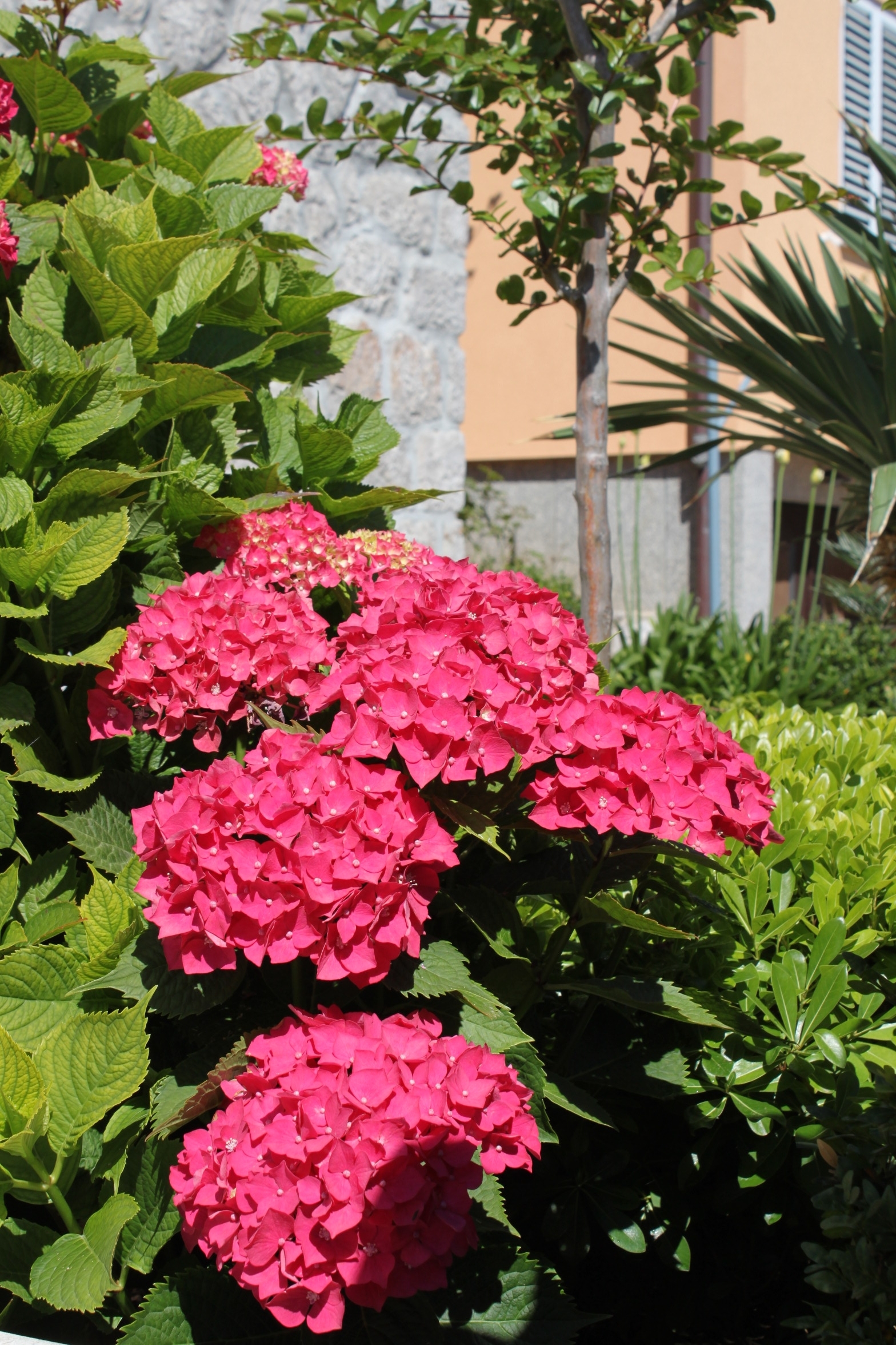 Two bedroom apartment with terrace Mali Lošinj, Lošinj  A-b