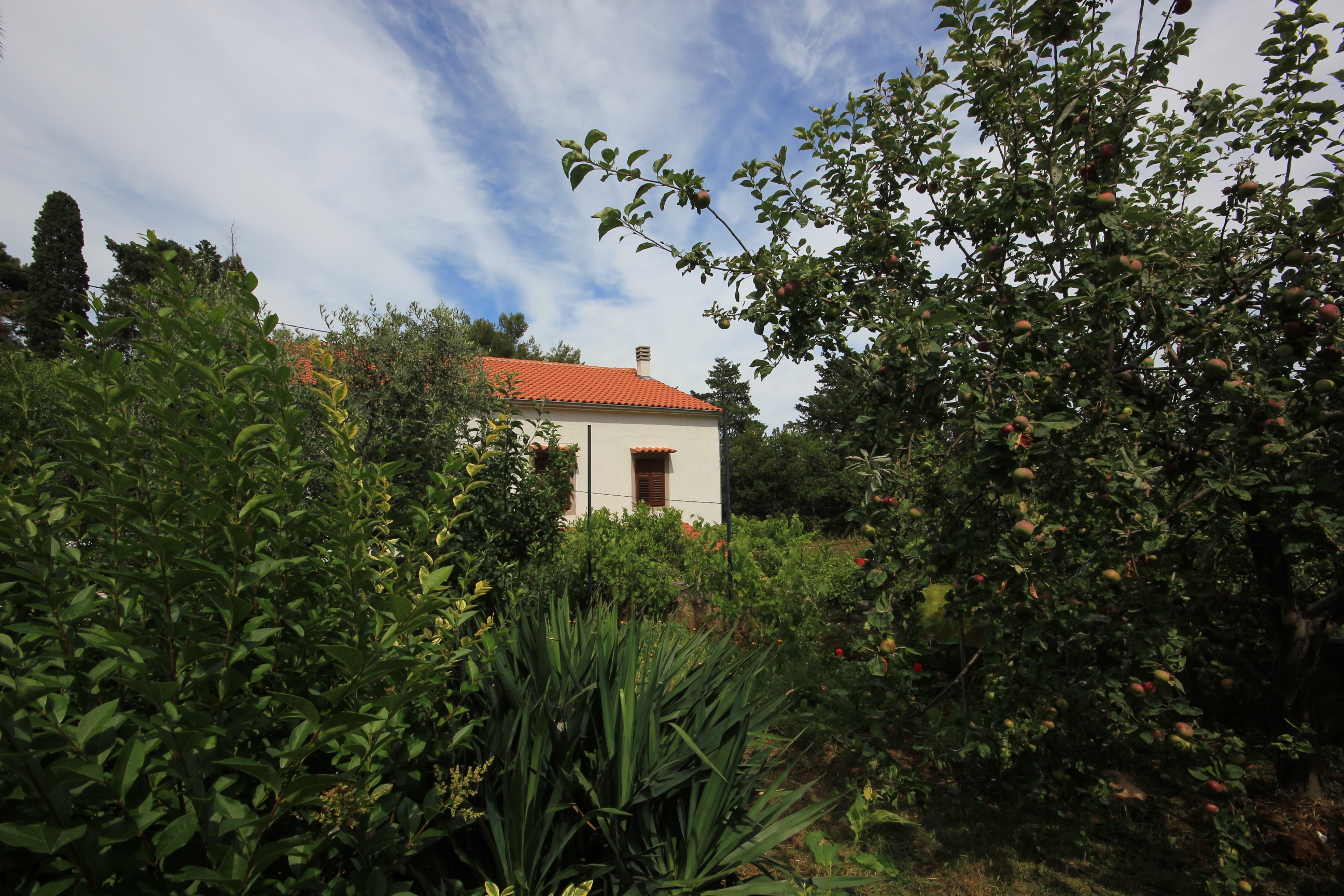One bedroom apartment with terrace Veli Lošinj, Lošinj  A-a