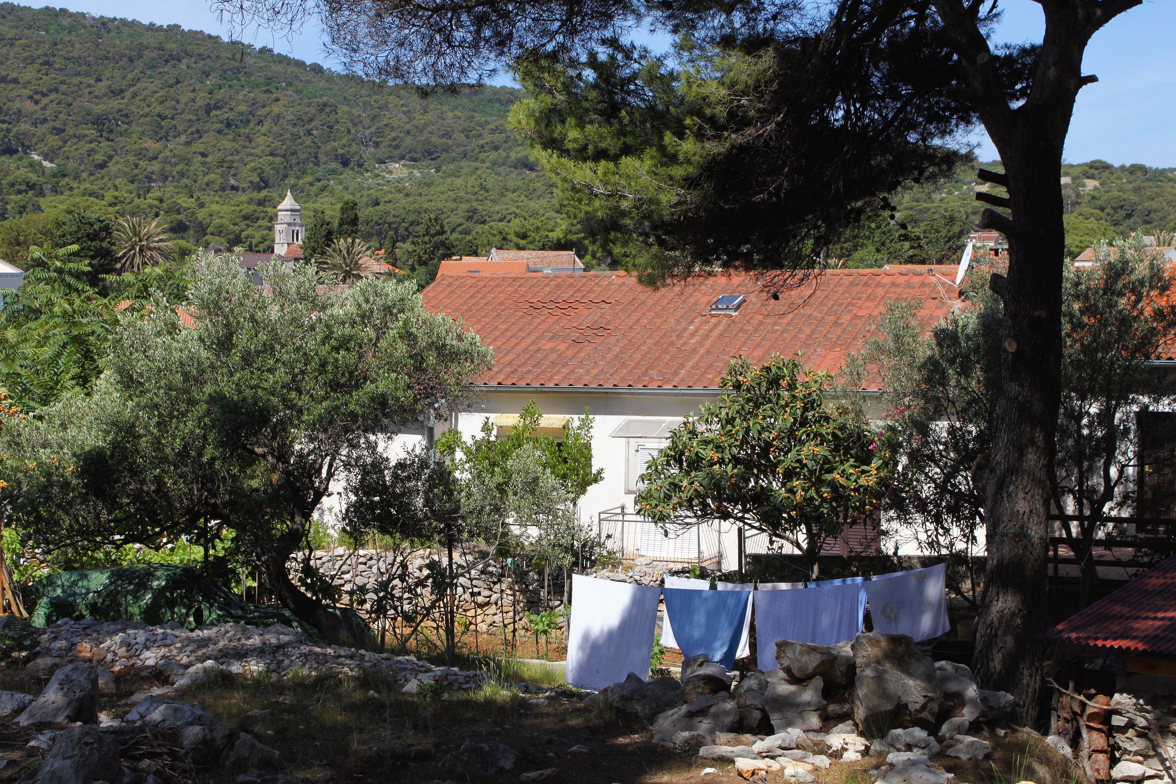 Top Lošinj Veli Lošinj Top Lošinj Veli Lošinj