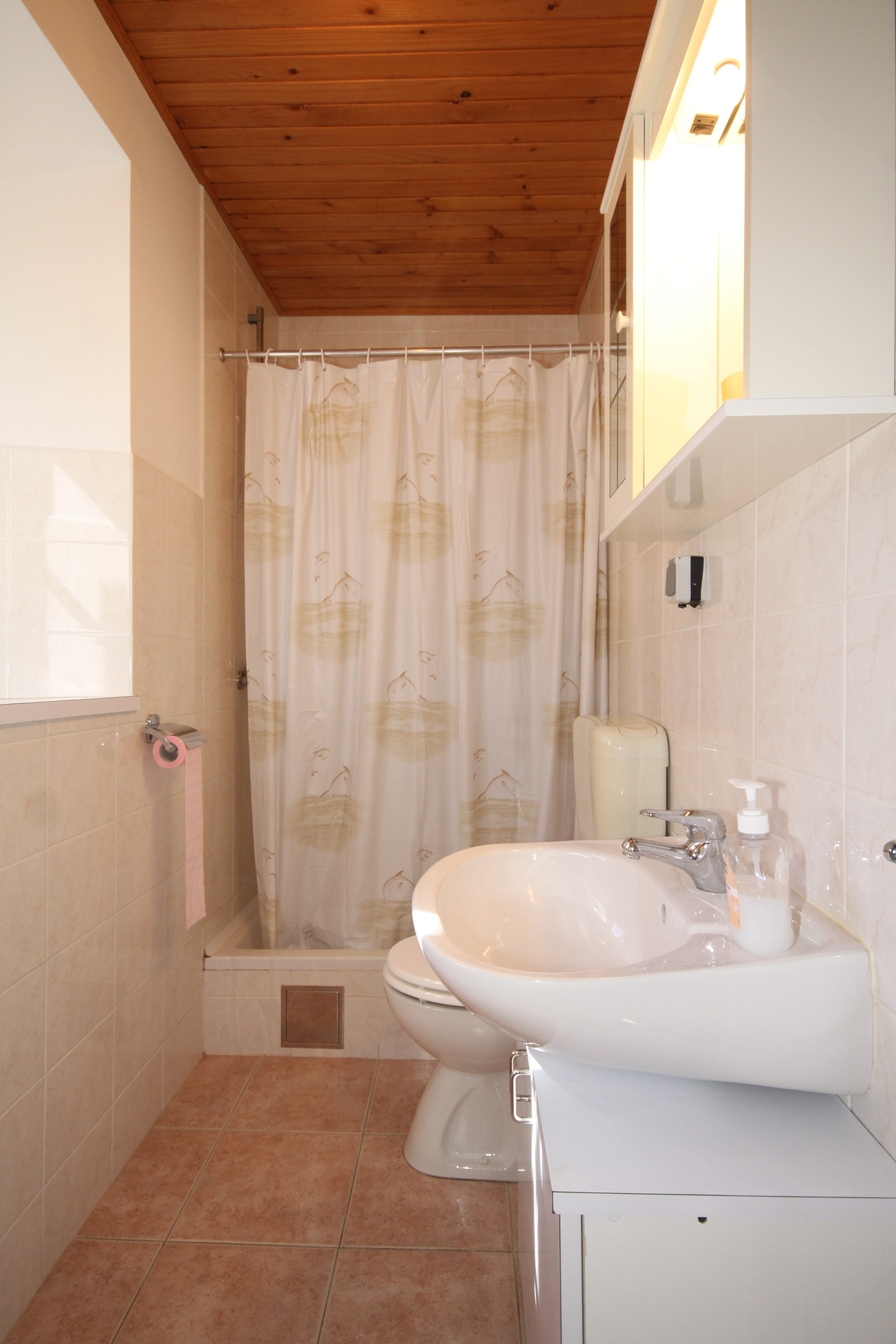 Two bedroom apartment with terrace Susak, Lošinj  A-d