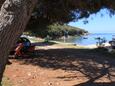 Parkiralište Merašćica, Cres, Parkiralište 8071 - Apartmani blizu mora sa šljunčanom plažom.