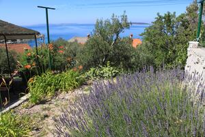 Maison de vacances près de la mer Miholascica, Cres - 8073