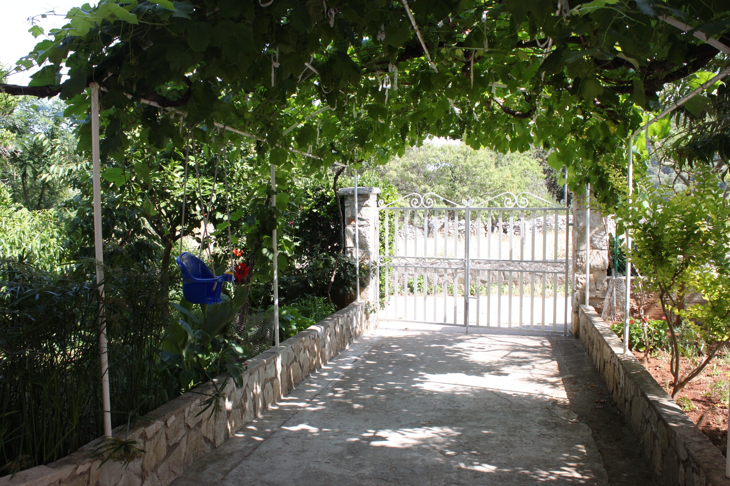 Top Dugi otok Božava Top Dugi otok Božava