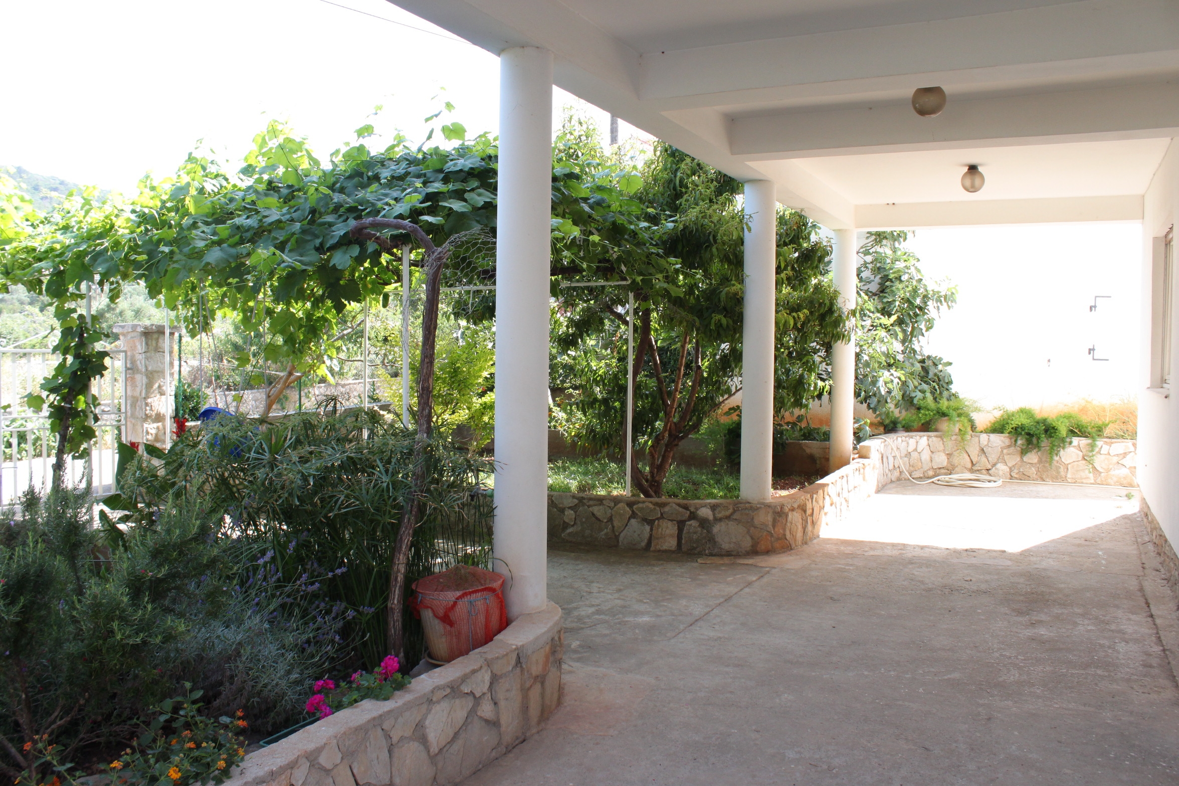 Top Dugi otok Božava Top Dugi otok Božava