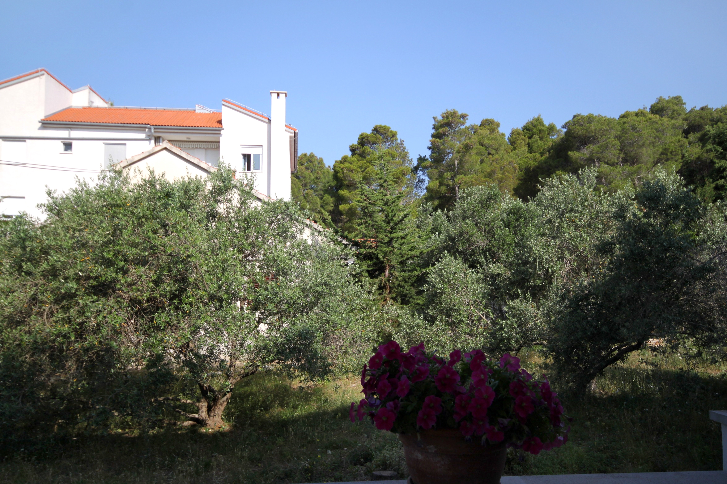 One bedroom apartment near beach Verunić, Dugi otok  A-d
