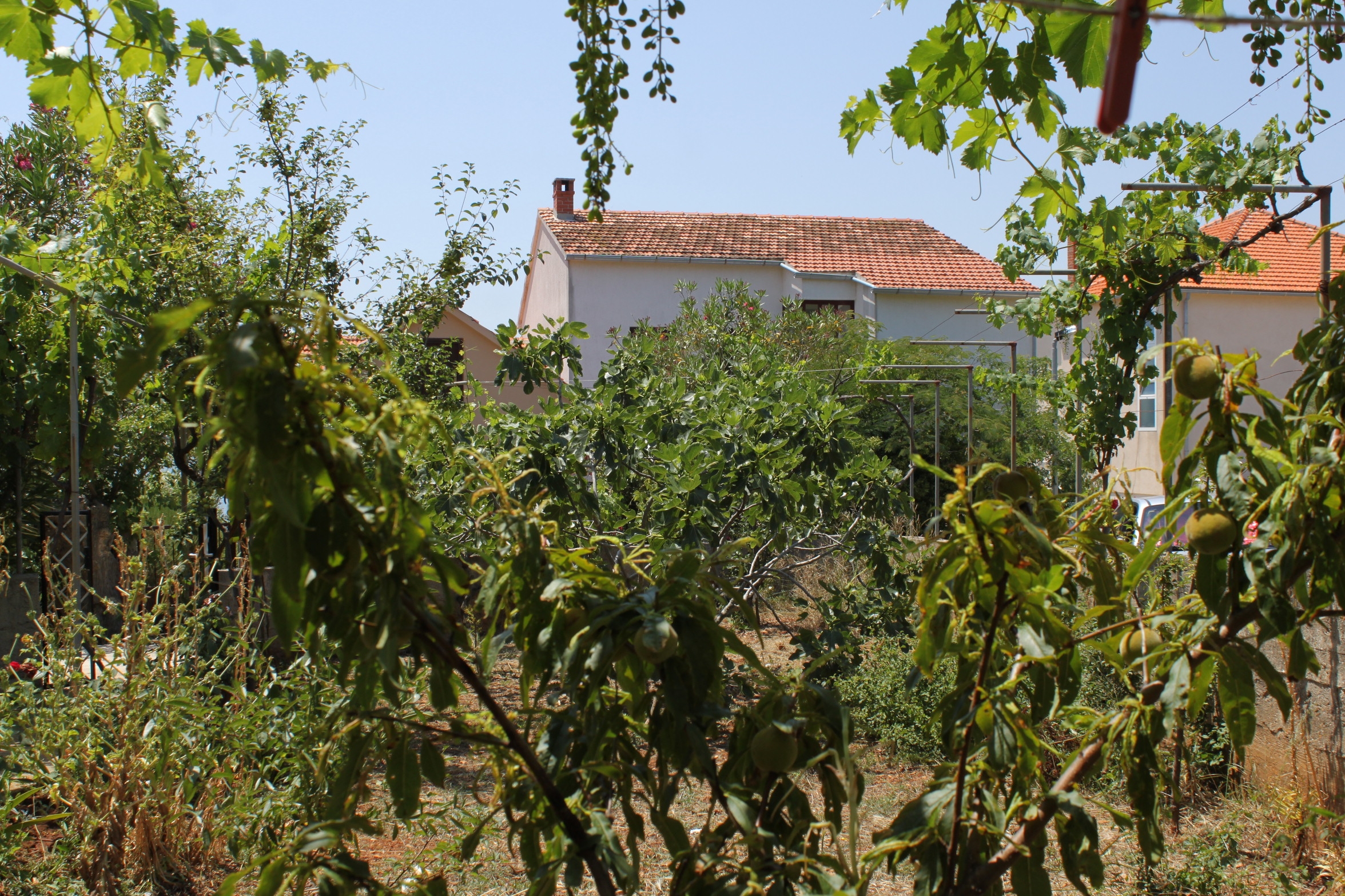 One bedroom apartment with terrace Verunić, Dugi otok  A-b