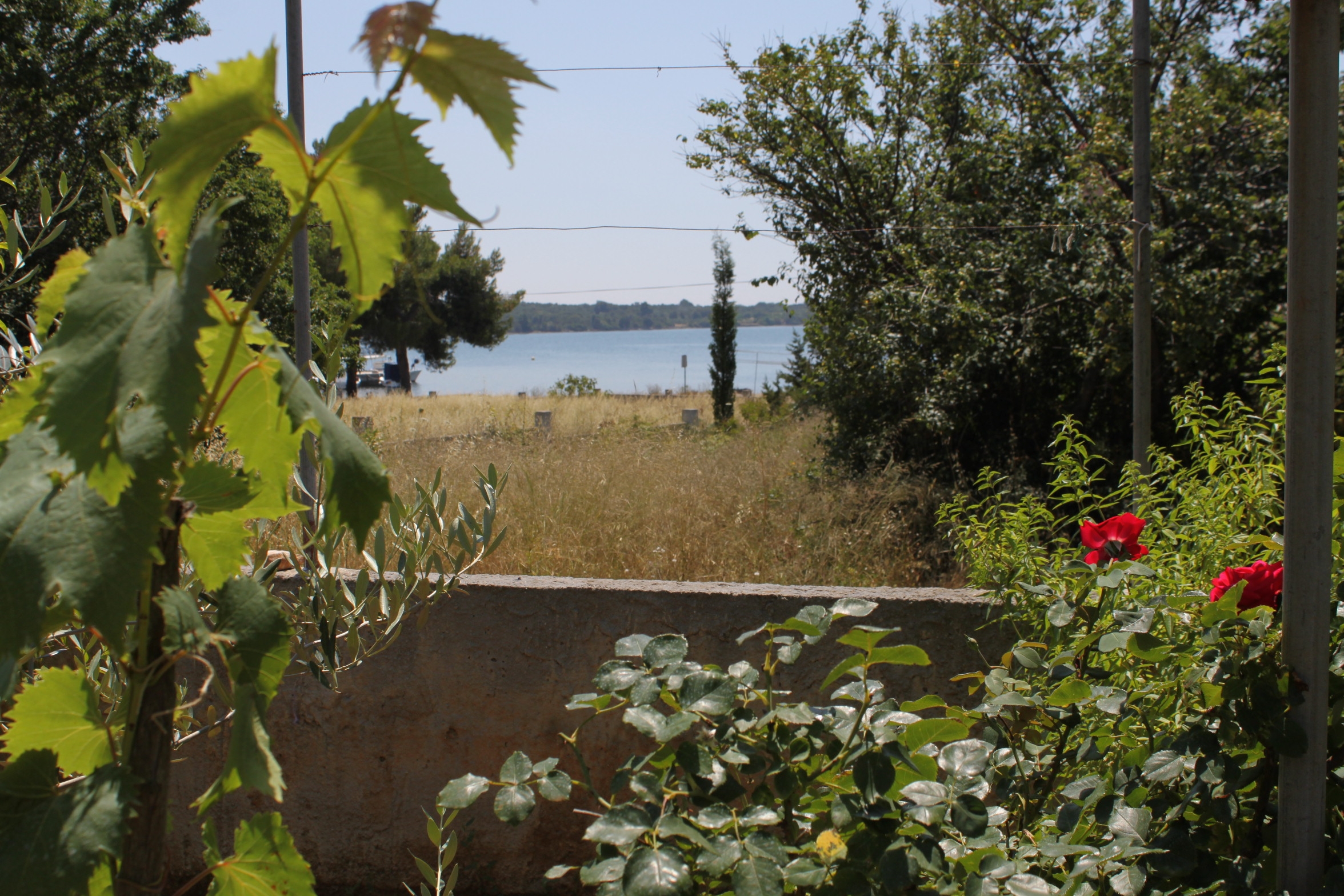 One bedroom apartment with terrace Verunić, Dugi otok (A-8104-b) One bedroom apartment with terrace Verunić, Dugi otok (A-8104-b)