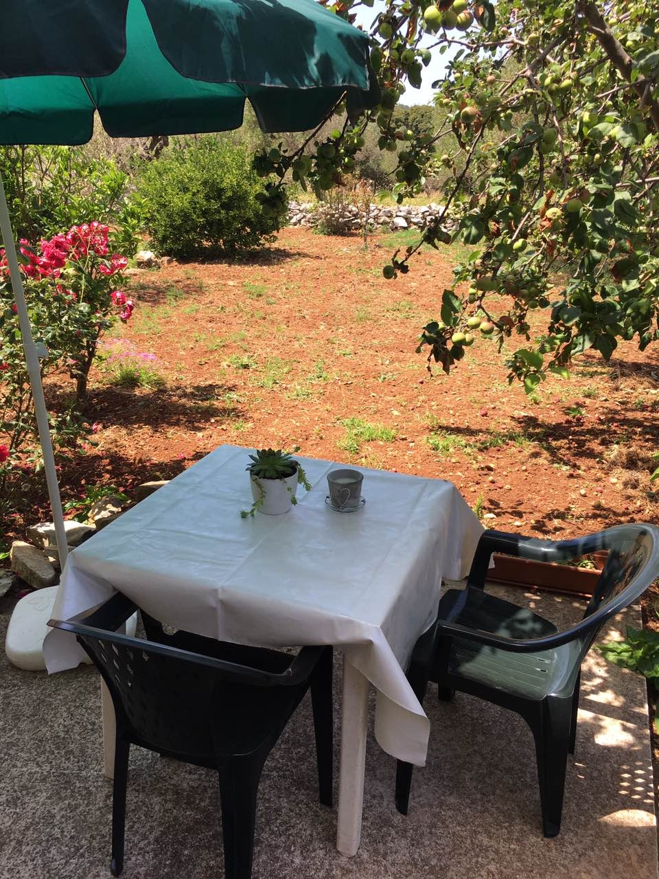 Top Dugi otok Božava Top Dugi otok Božava