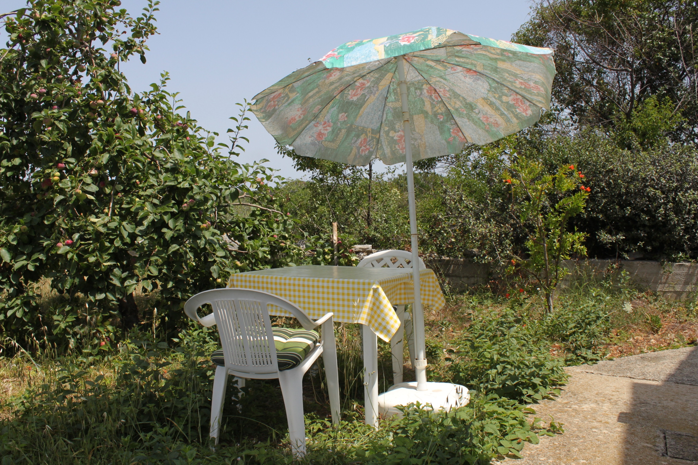 Top Dugi otok Božava Top Dugi otok Božava