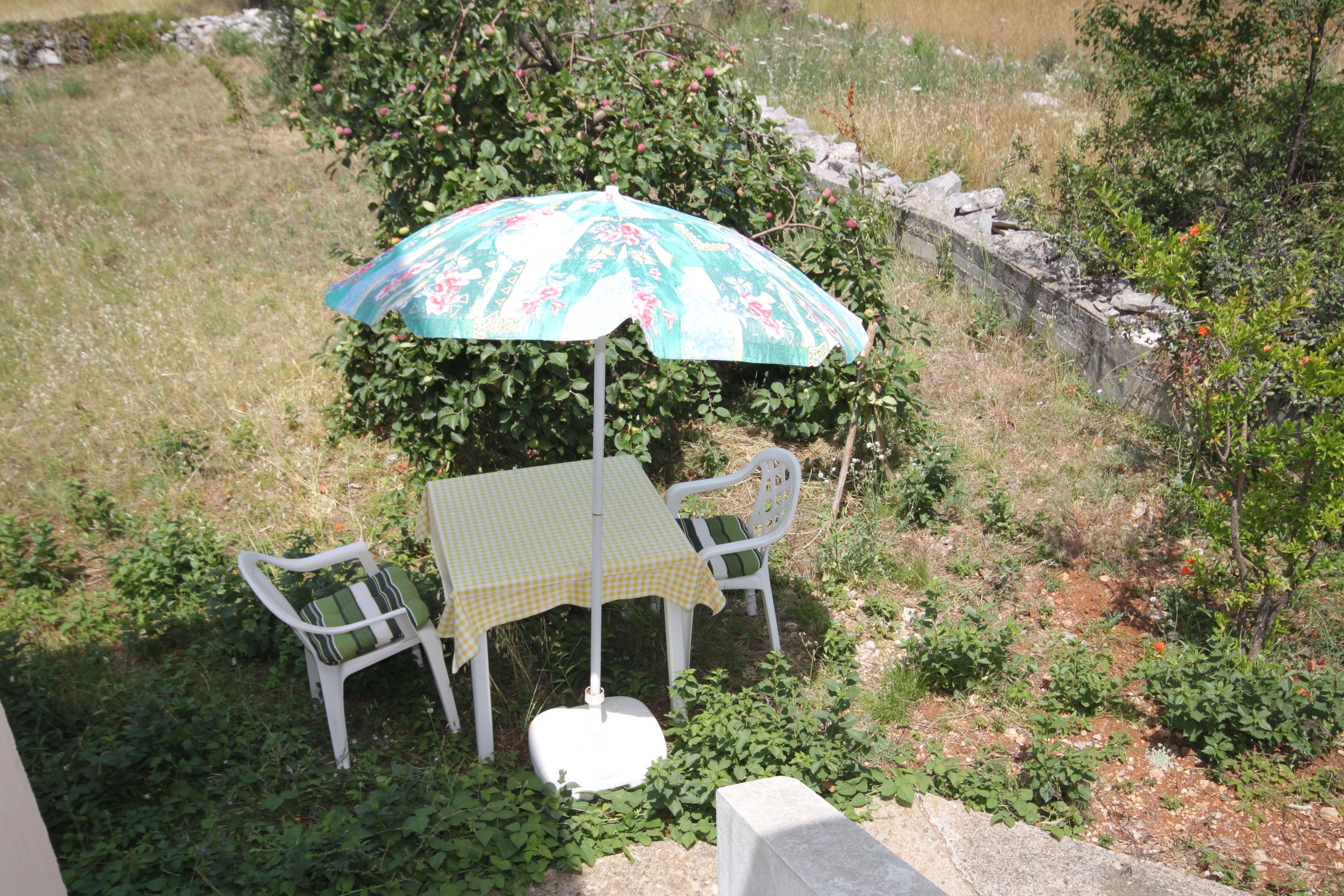 Top Dugi otok Božava Top Dugi otok Božava