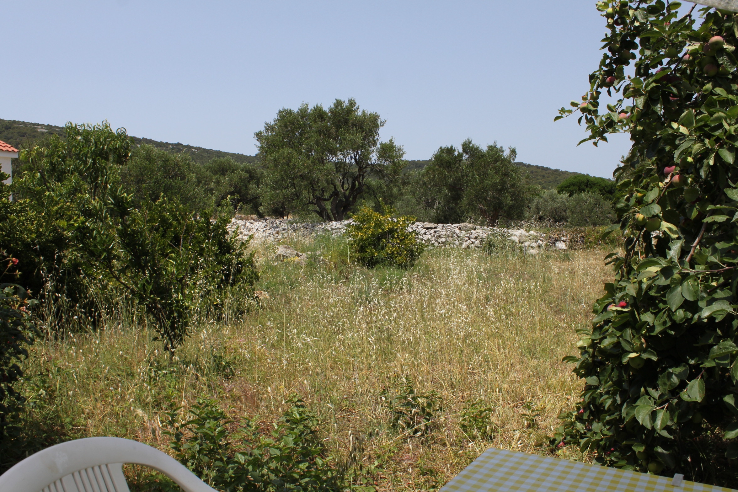 Top Dugi otok Božava Top Dugi otok Božava