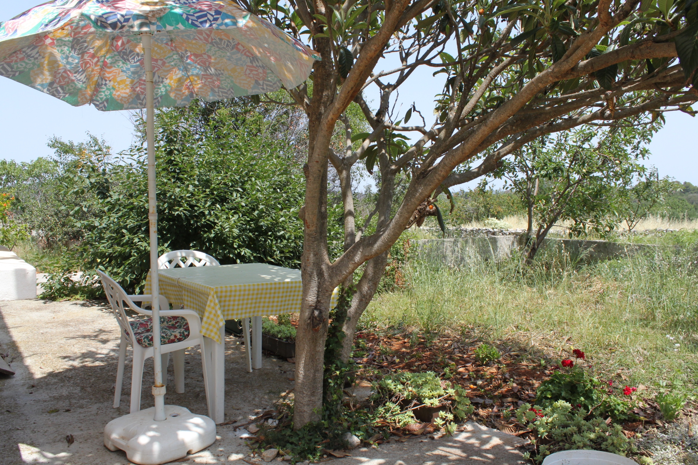 Studio flat with terrace Božava, Dugi otok  AS-b