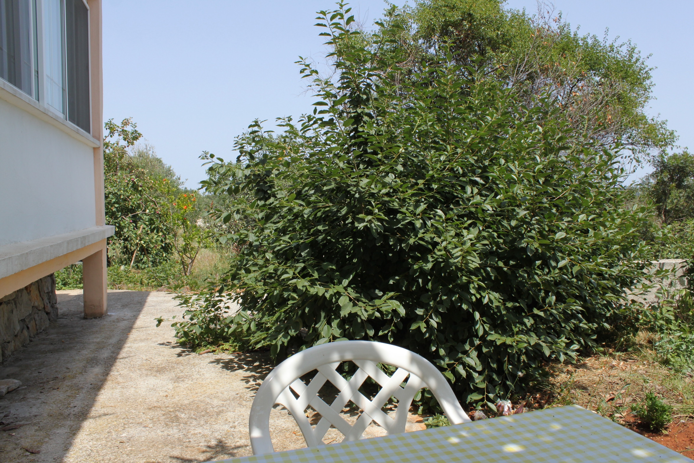 Top Dugi otok Božava Top Dugi otok Božava