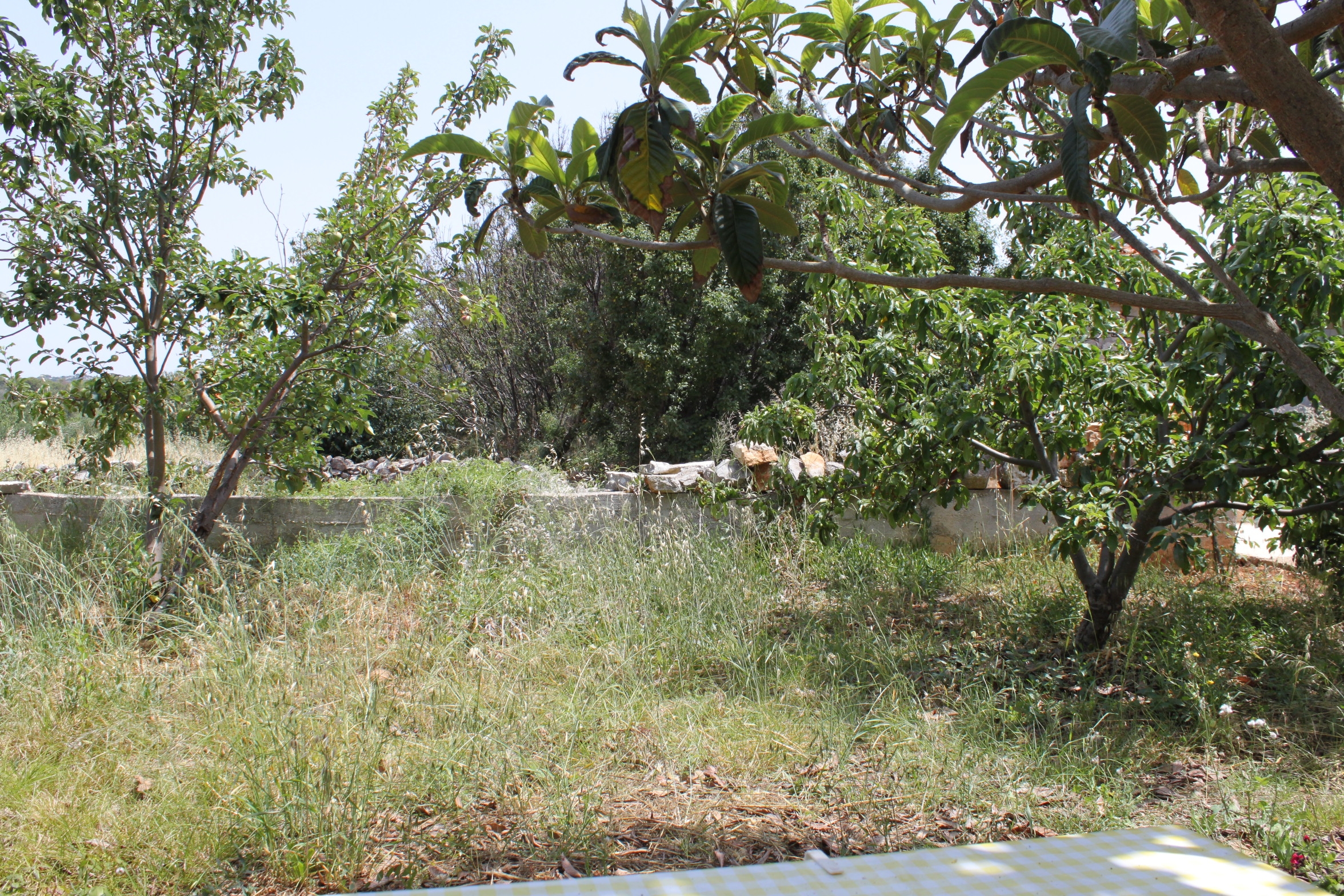 Top Dugi otok Božava Top Dugi otok Božava