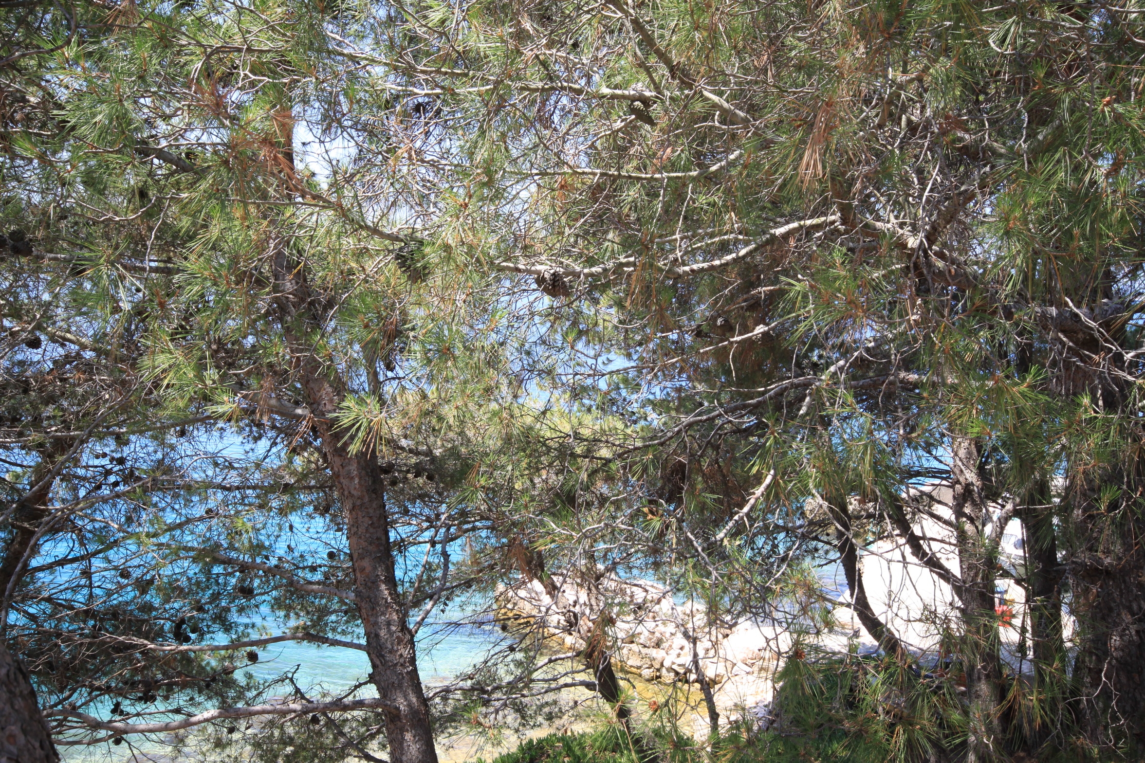 Two bedroom apartment near beach Lavdara, Dugi otok  A-a