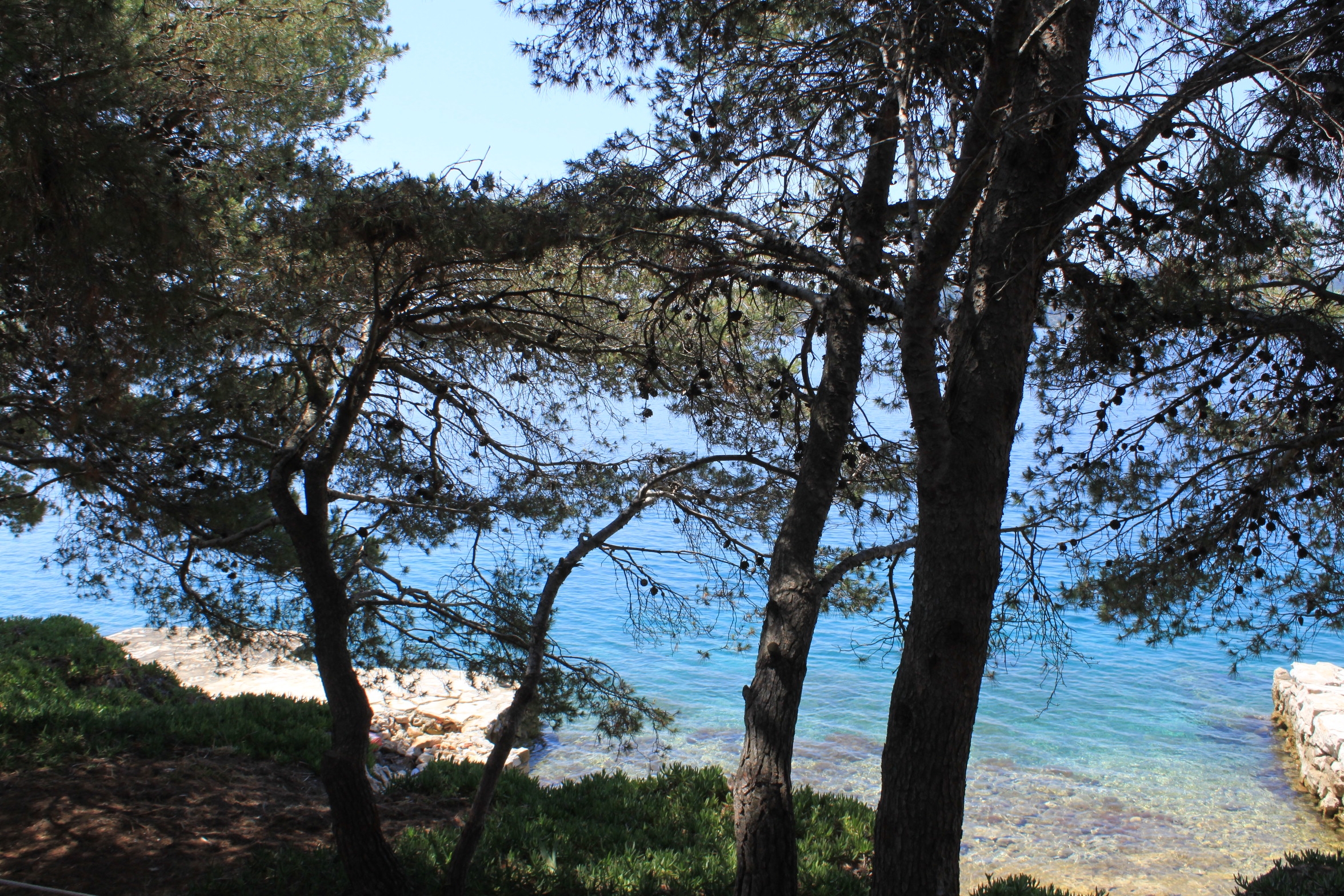 Top Dugi otok Lavdara Top Dugi otok Lavdara