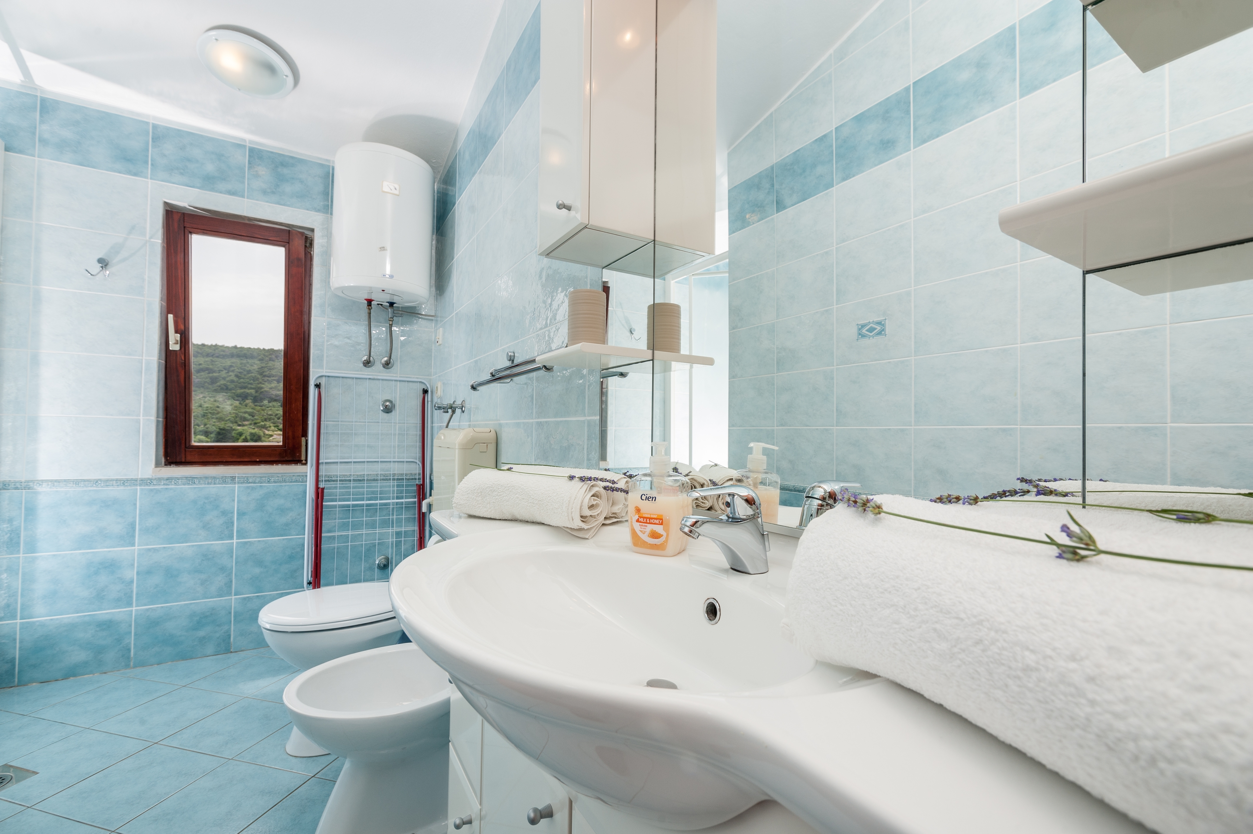 Two bedroom apartment with terrace and sea view Božava, Dugi otok  A-a