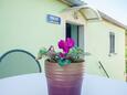 Božava, Терраса 1 в размещении типа apartment, Домашние животные допускаются и WiFi.