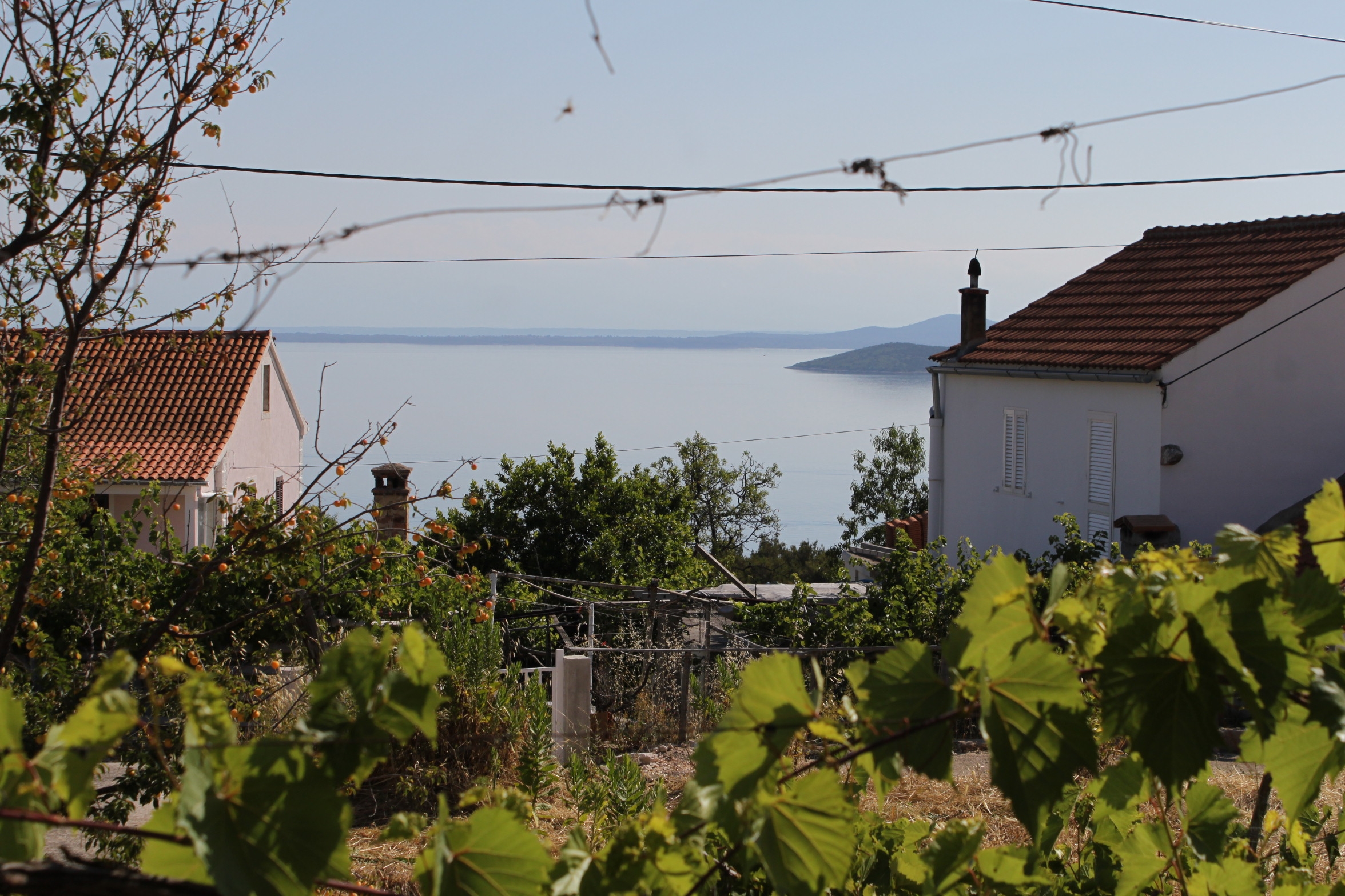 One bedroom apartment with terrace and sea view Savar, Dugi otok  A-b