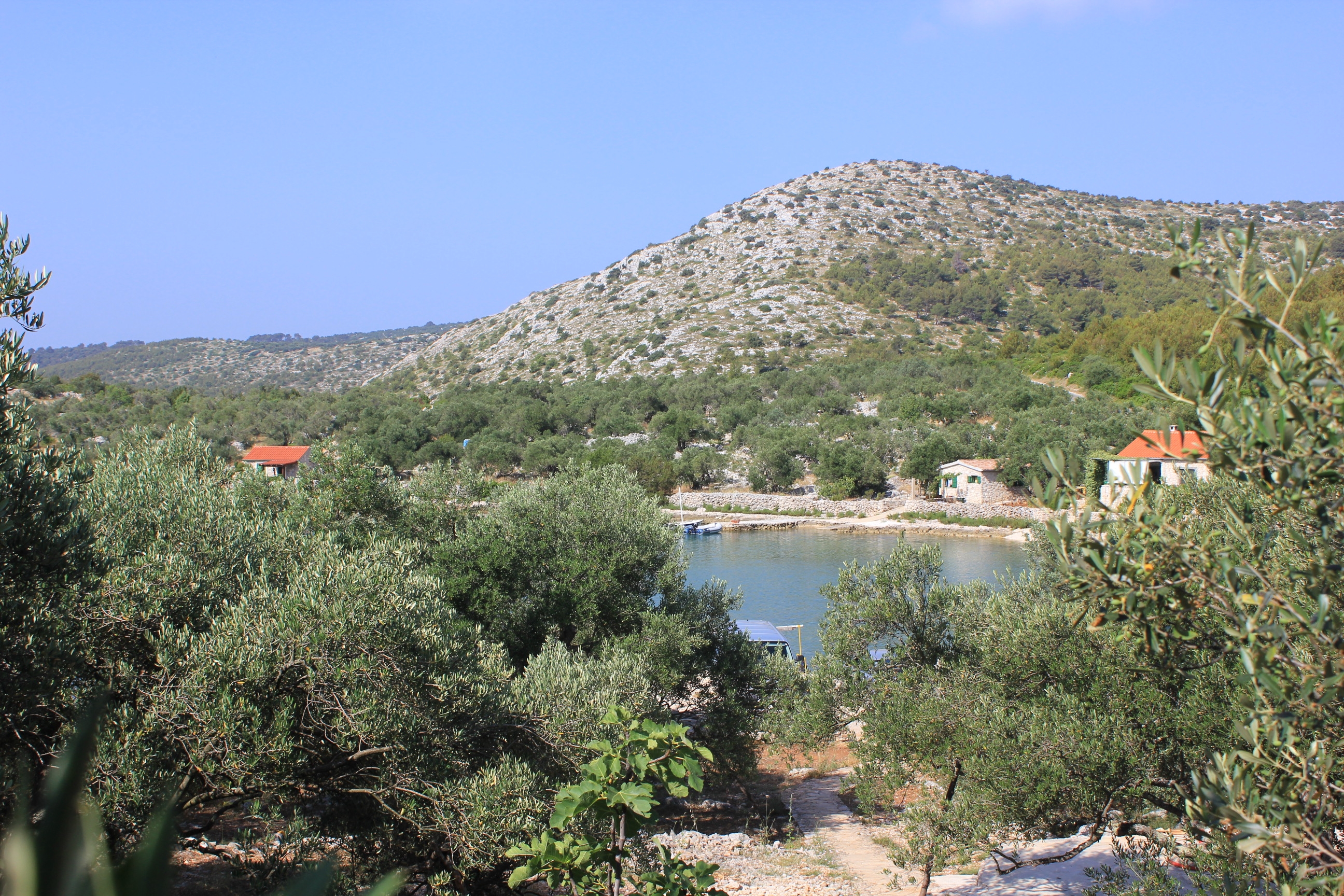 Two bedroom apartment near beach Cove Magrovica - Telašćica, Dugi otok  A-a
