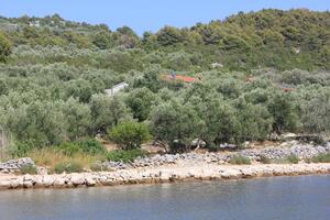 Ferienwohnung am Meer im Robinson Crusoe Stil Bucht Magrovica - Telascica, Dugi otok - 8139