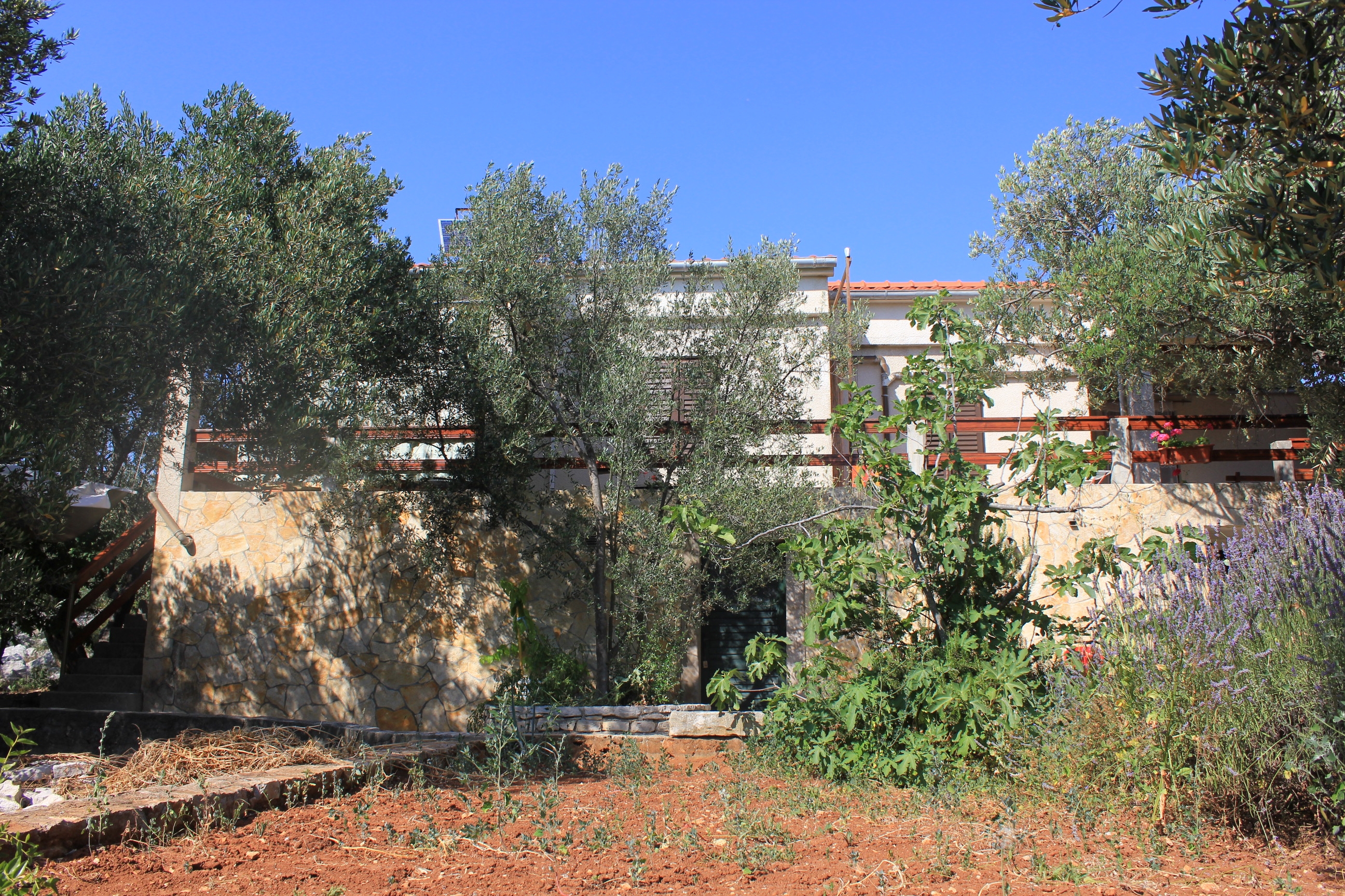 Top Dugi otok Magrovica - Telašćica Top Dugi otok Magrovica - Telašćica