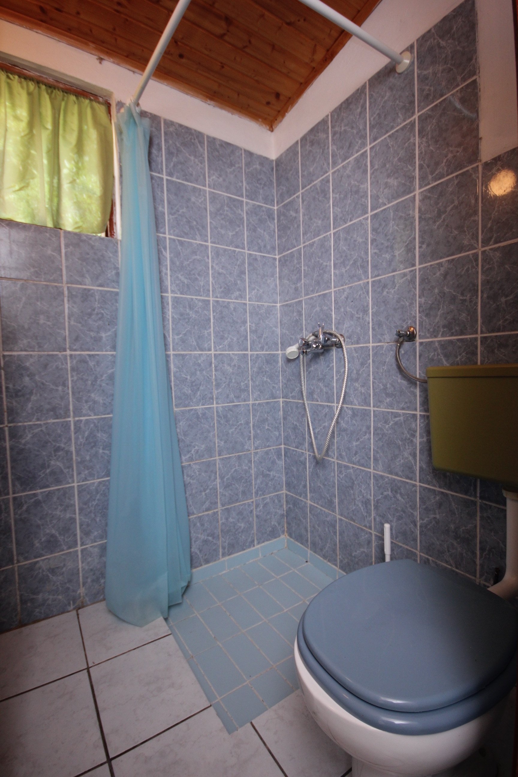 Four bedroom apartment with terrace and sea view Zaglav, Dugi otok  A-a
