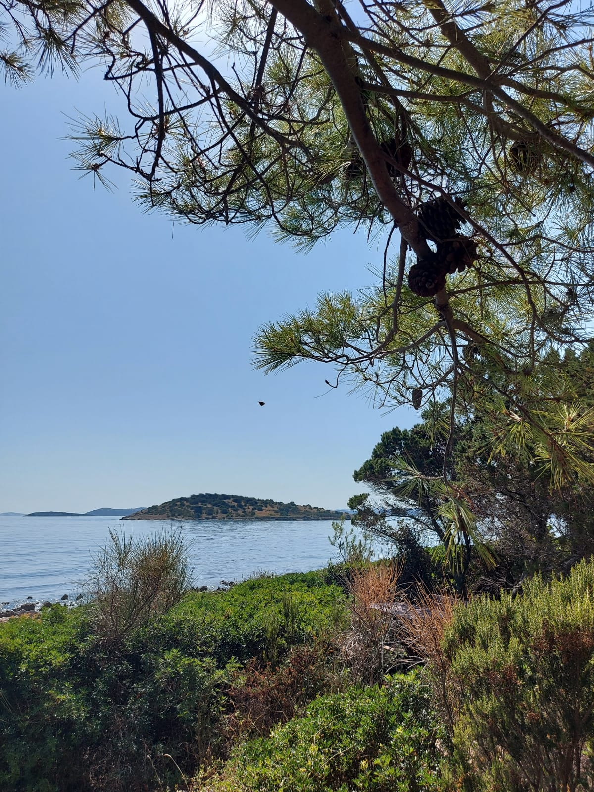 Two bedroom house near beach Krknata, Dugi otok  K