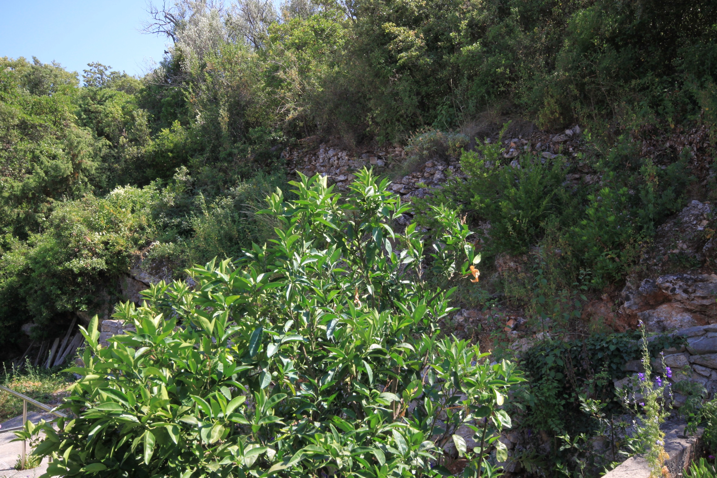 One bedroom apartment near beach Luka, Dugi otok  A-b