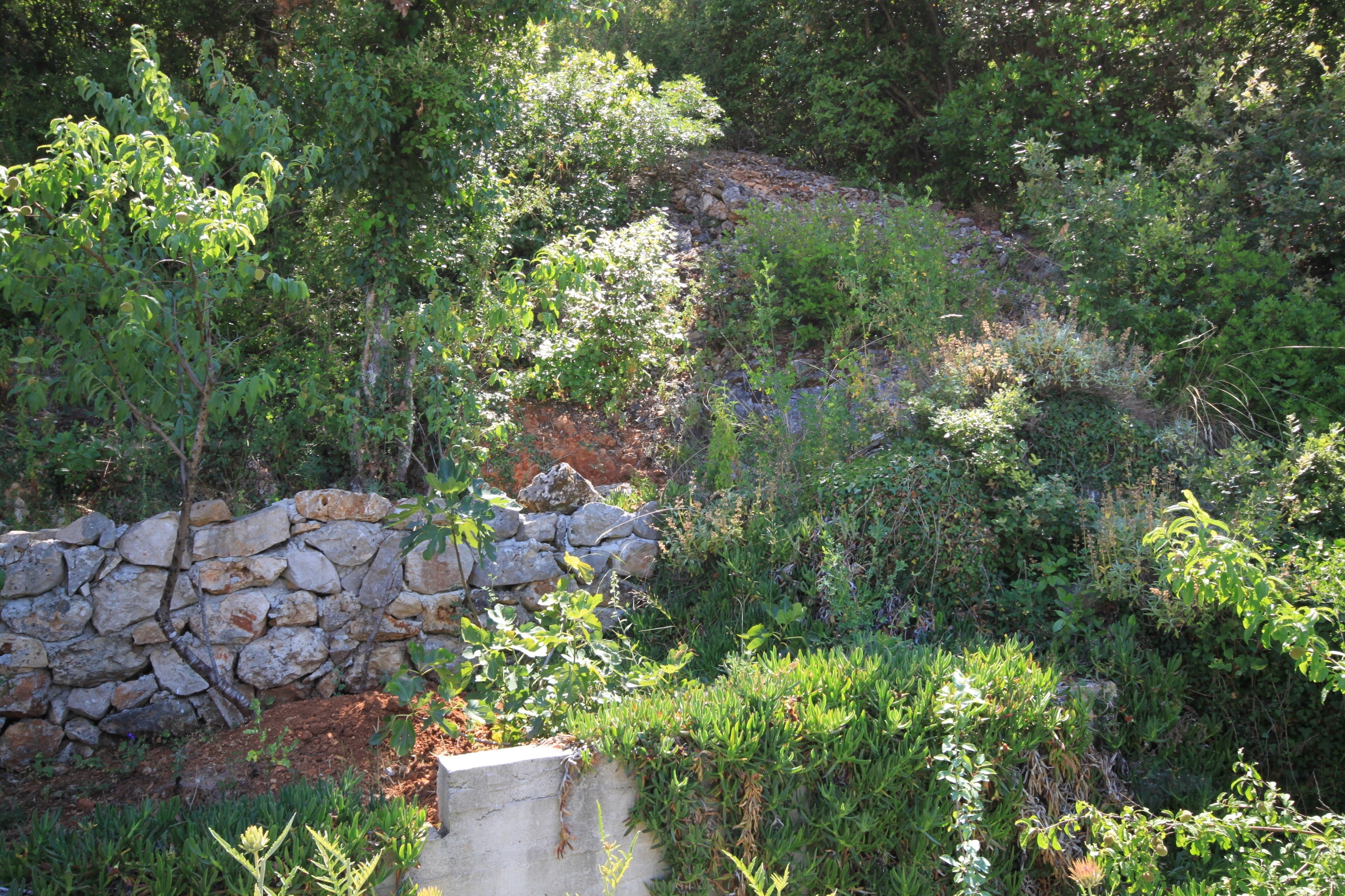 One bedroom apartment near beach Luka, Dugi otok  A-b