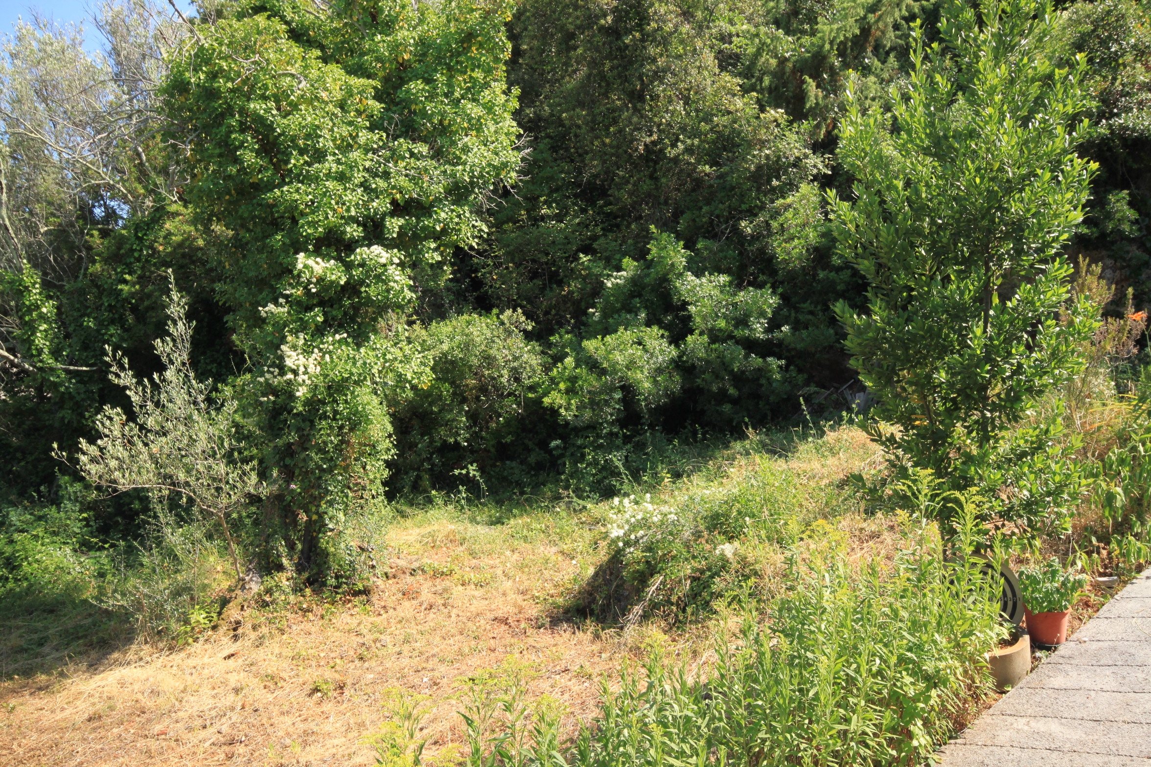 Two bedroom apartment near beach Luka, Dugi otok  A-c