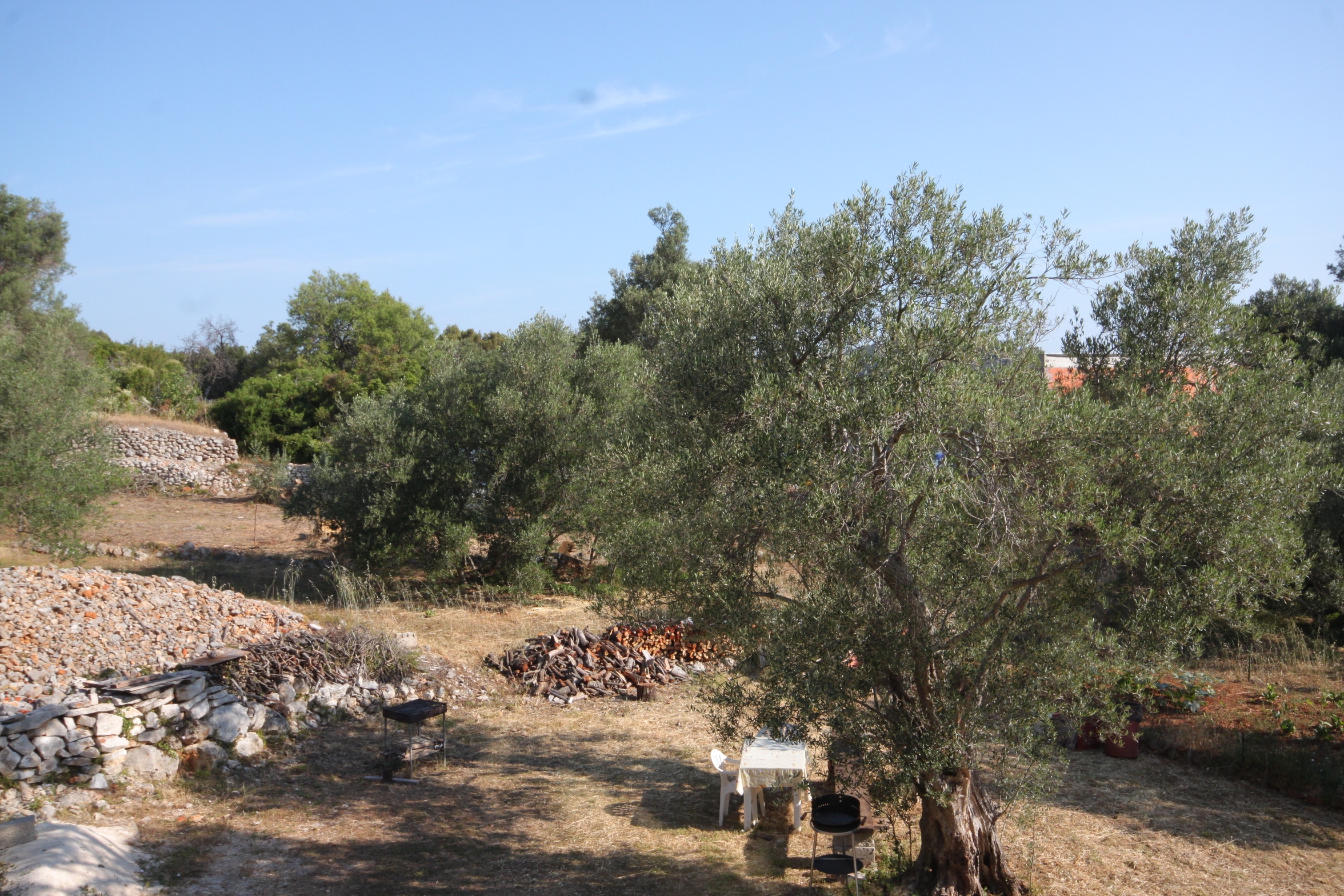Two bedroom apartment near beach Luka, Dugi otok  A-d