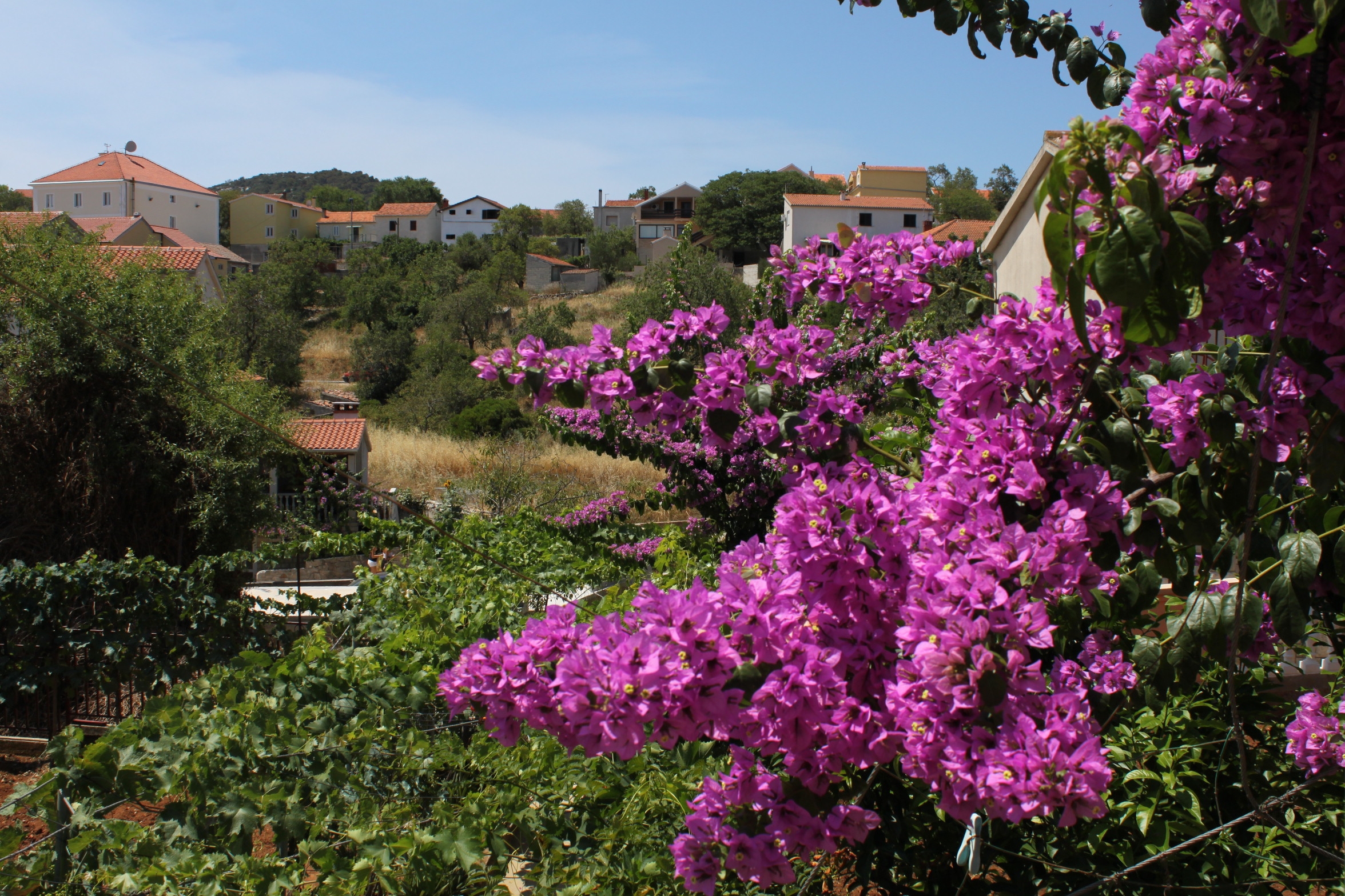 One bedroom apartment with terrace Sali, Dugi otok  A-b