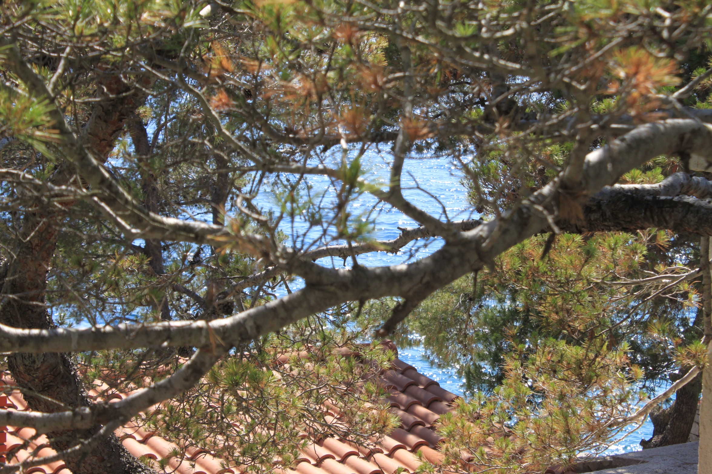 Two bedroom house near beach Lavdara, Dugi otok  K