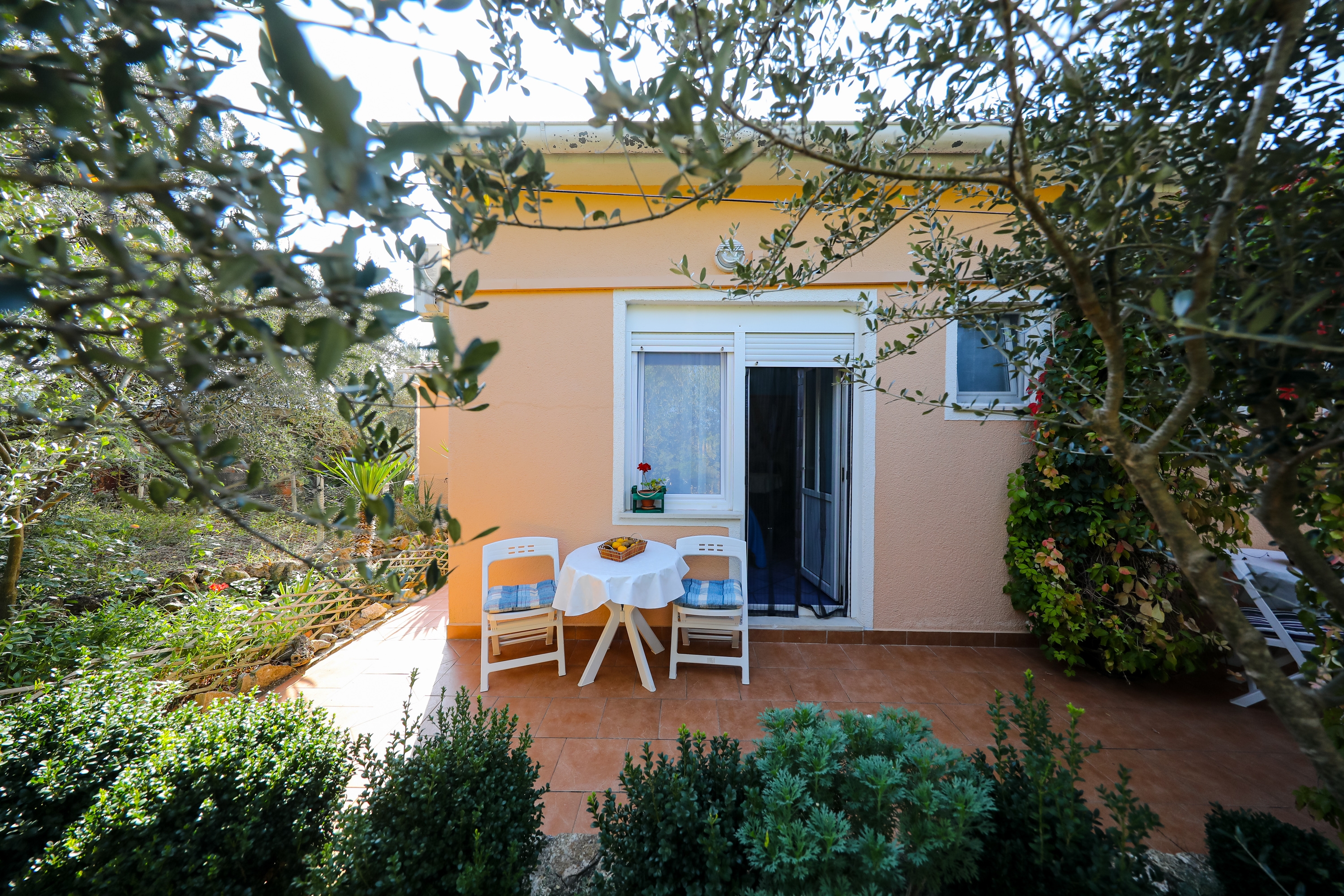 Studio flat with terrace Brbinj, Dugi otok (AS-8160-a) Studio flat with terrace Brbinj, Dugi otok (AS-8160-a)