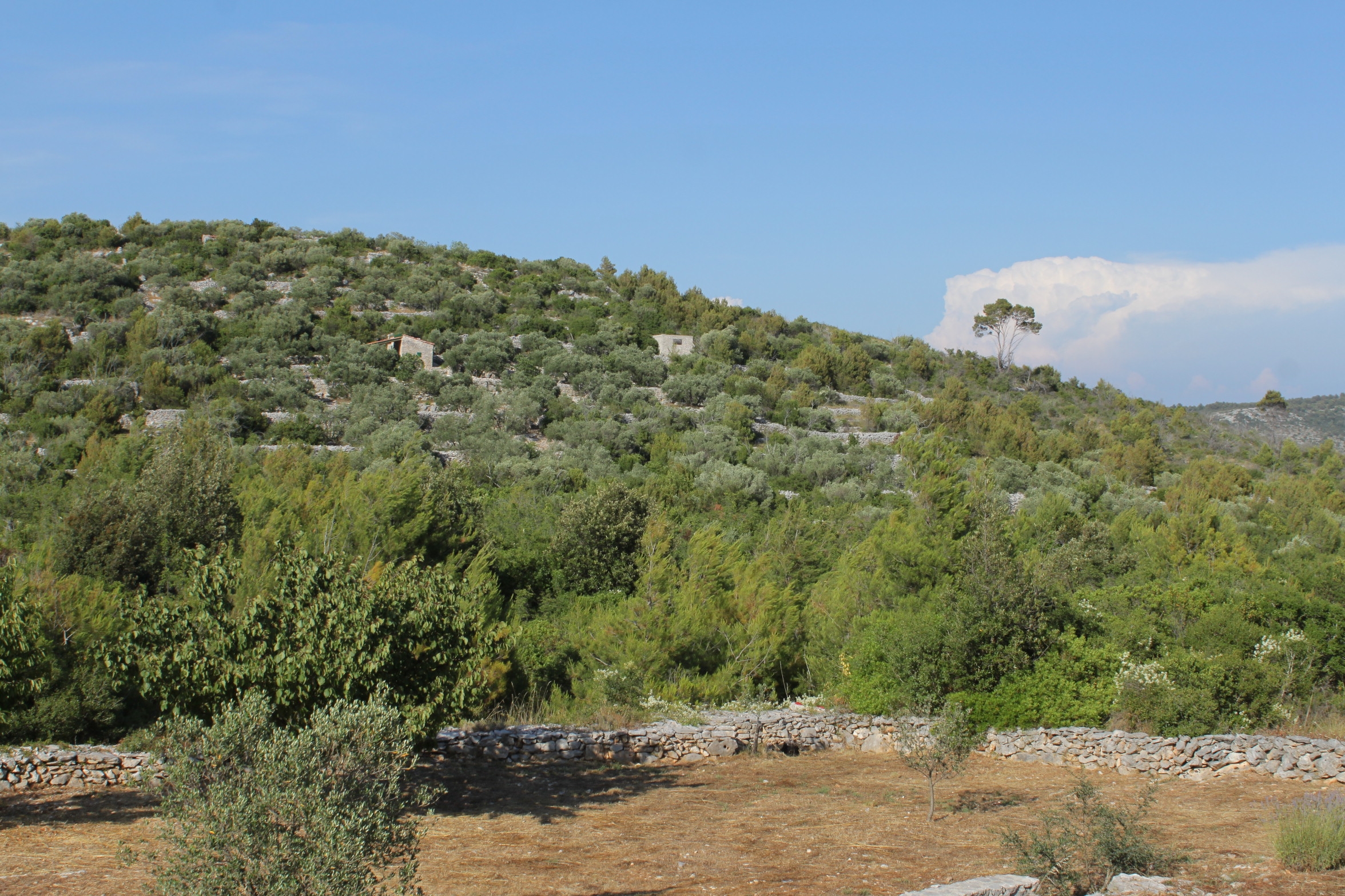 Two bedroom house with terrace Cove Jaz - Telašćica, Dugi otok  K