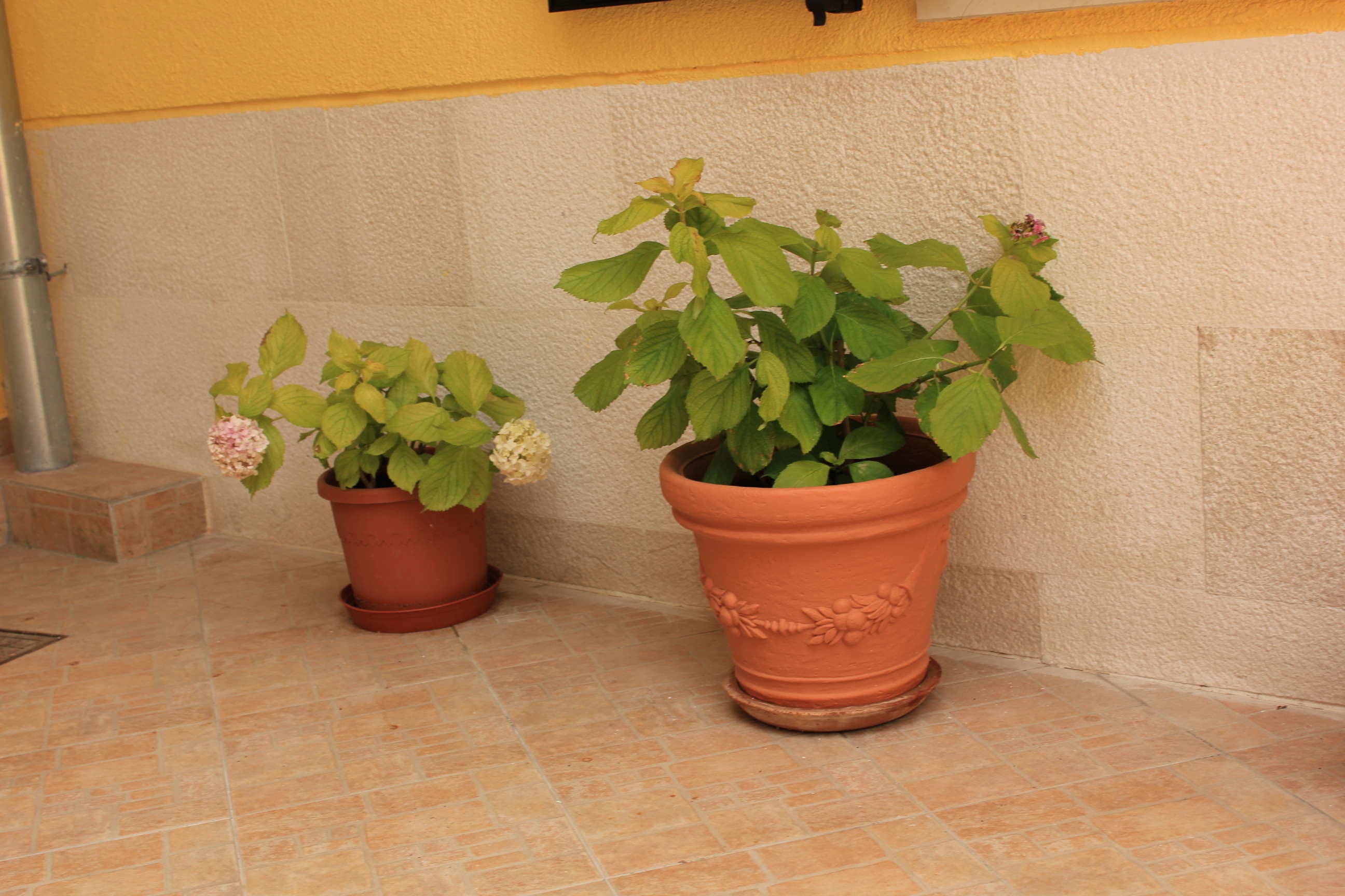 Dvosobni apartman s terasom i pogledom na more Kukljica, Ugljan  A-a