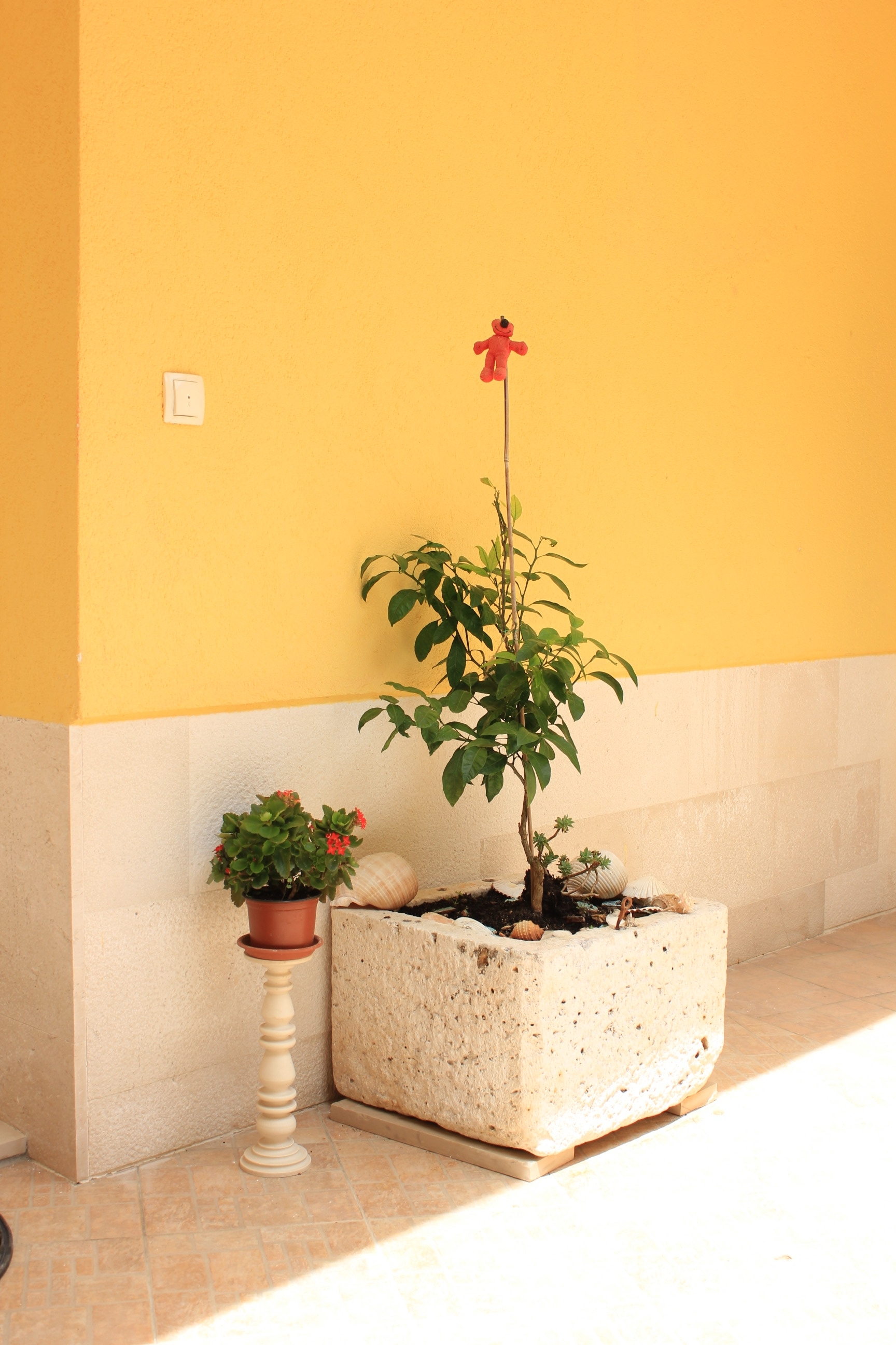 Dvosobni apartman s terasom i pogledom na more Kukljica, Ugljan  A-a