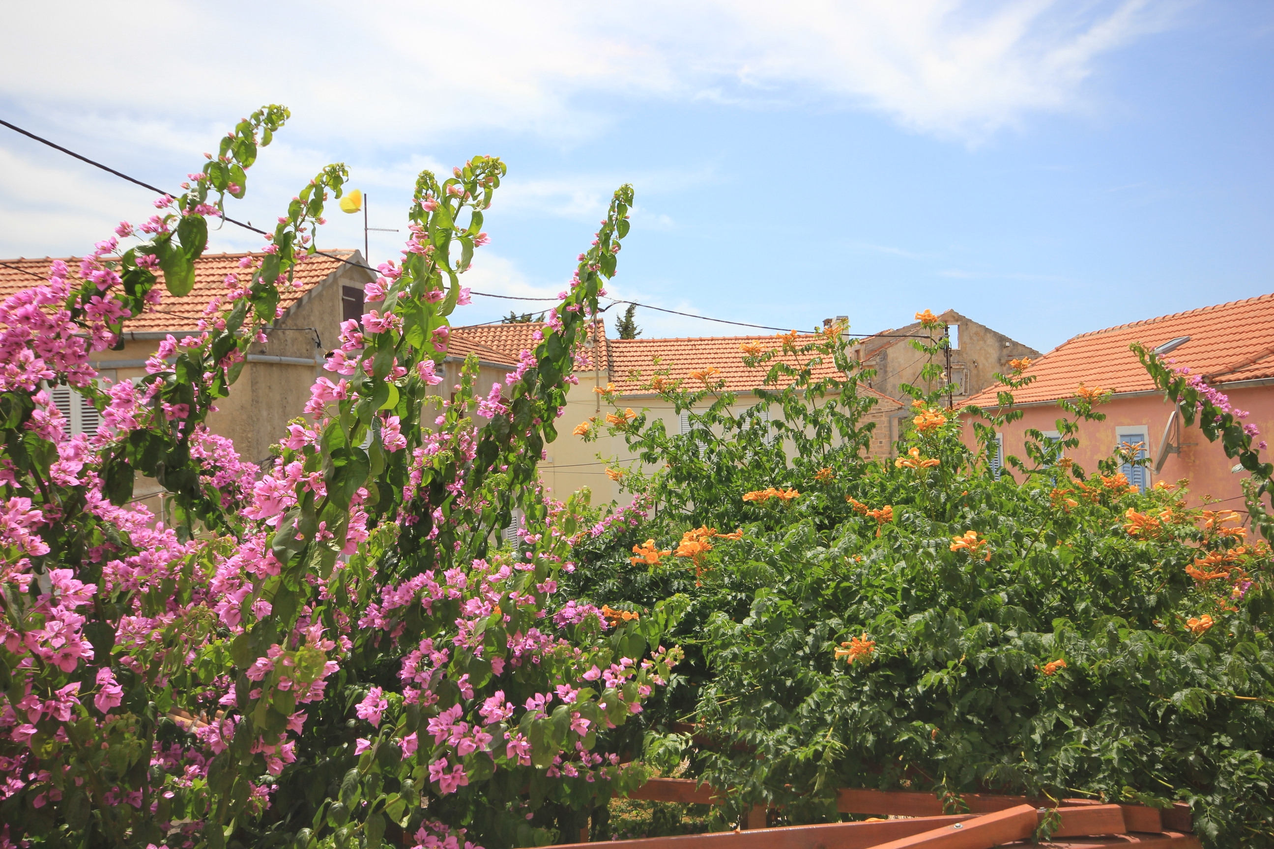 Jednosobni apartman s balkonom Kukljica, Ugljan  A-b