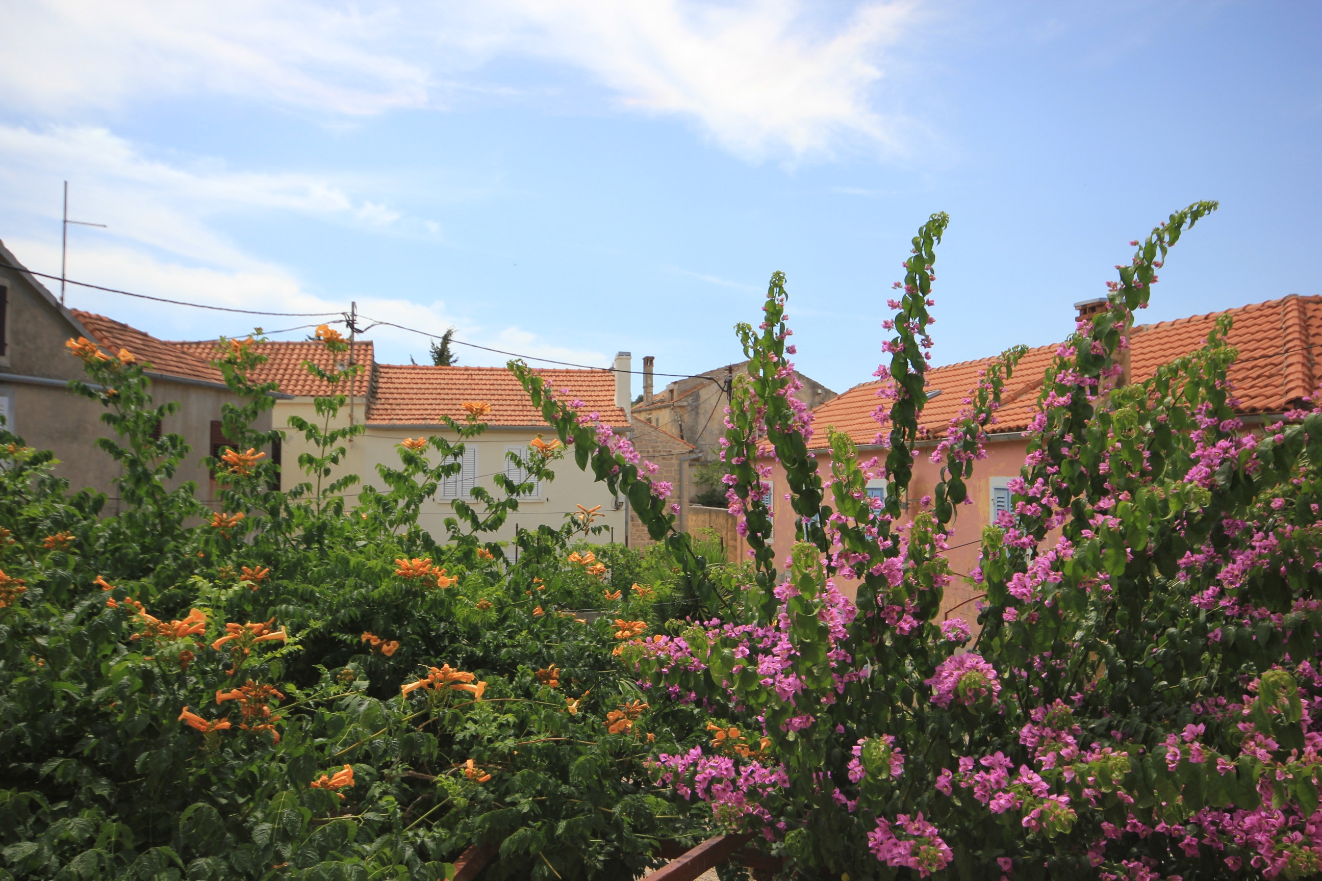 Jednosobni apartman s balkonom Kukljica, Ugljan  A-b