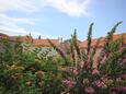 Kukljica, Balcony 2 - view in the apartment, (pet friendly) and WiFi.