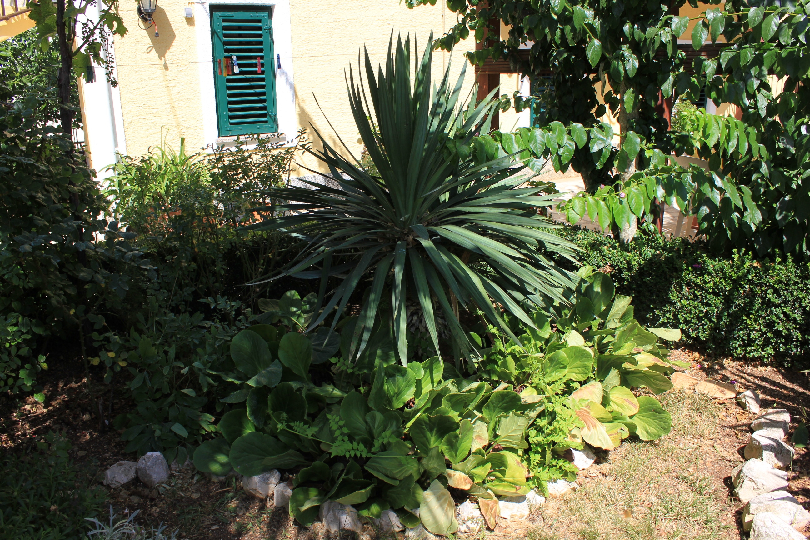 Jednosobni apartman s balkonom Kukljica, Ugljan  A-b