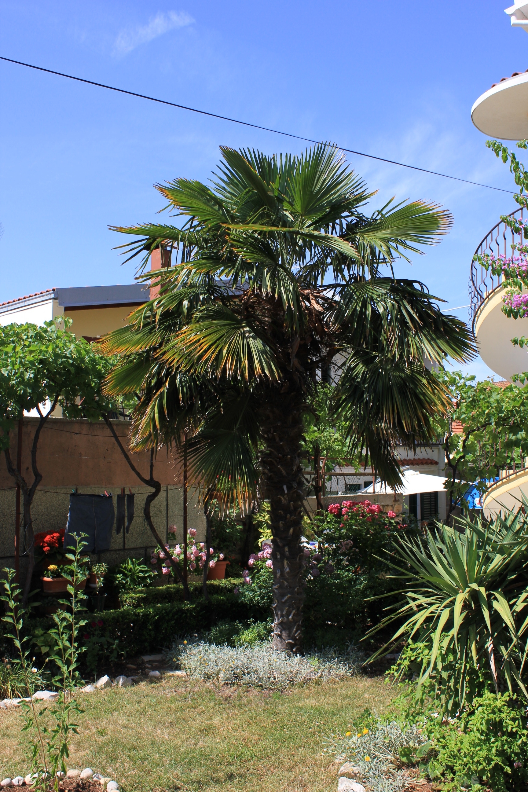 Jednosobni apartman s balkonom Kukljica, Ugljan  A-c